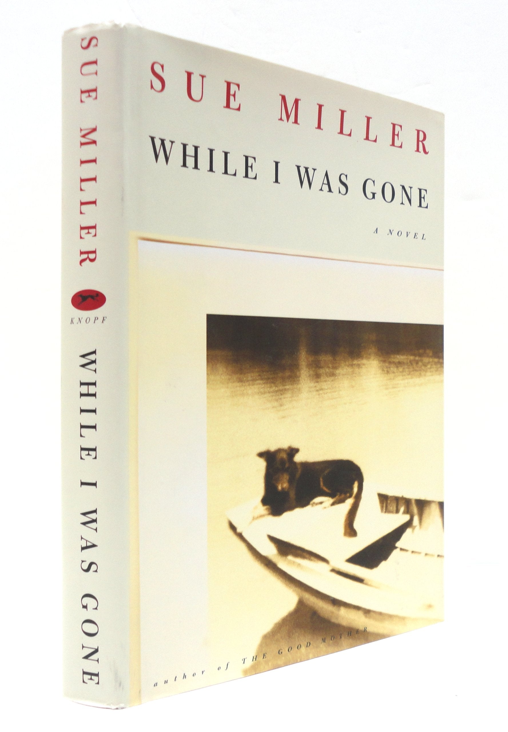 While I Was Gone