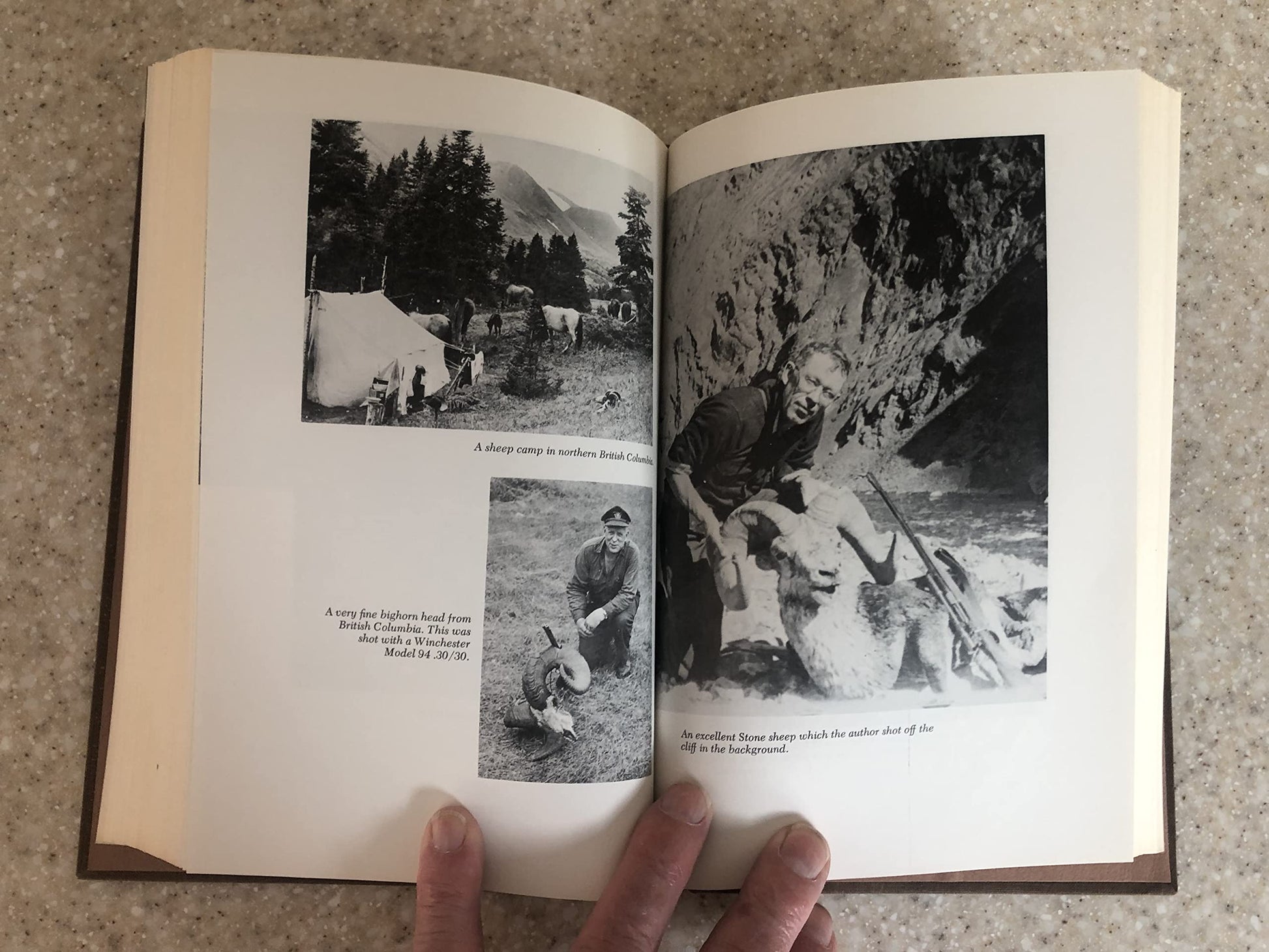 The hunting rifle used book depot