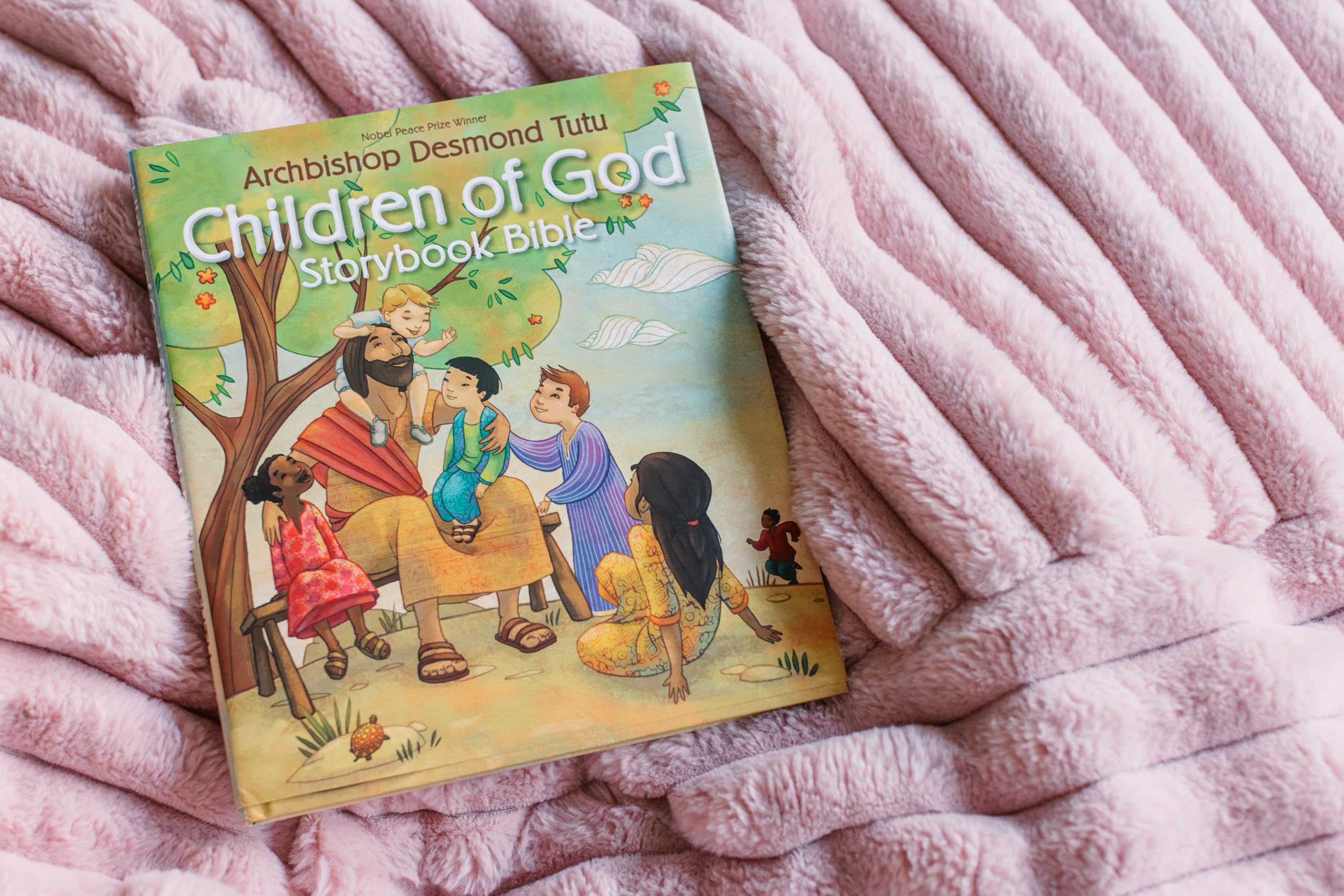 Children of God Storybook Bible used book depot