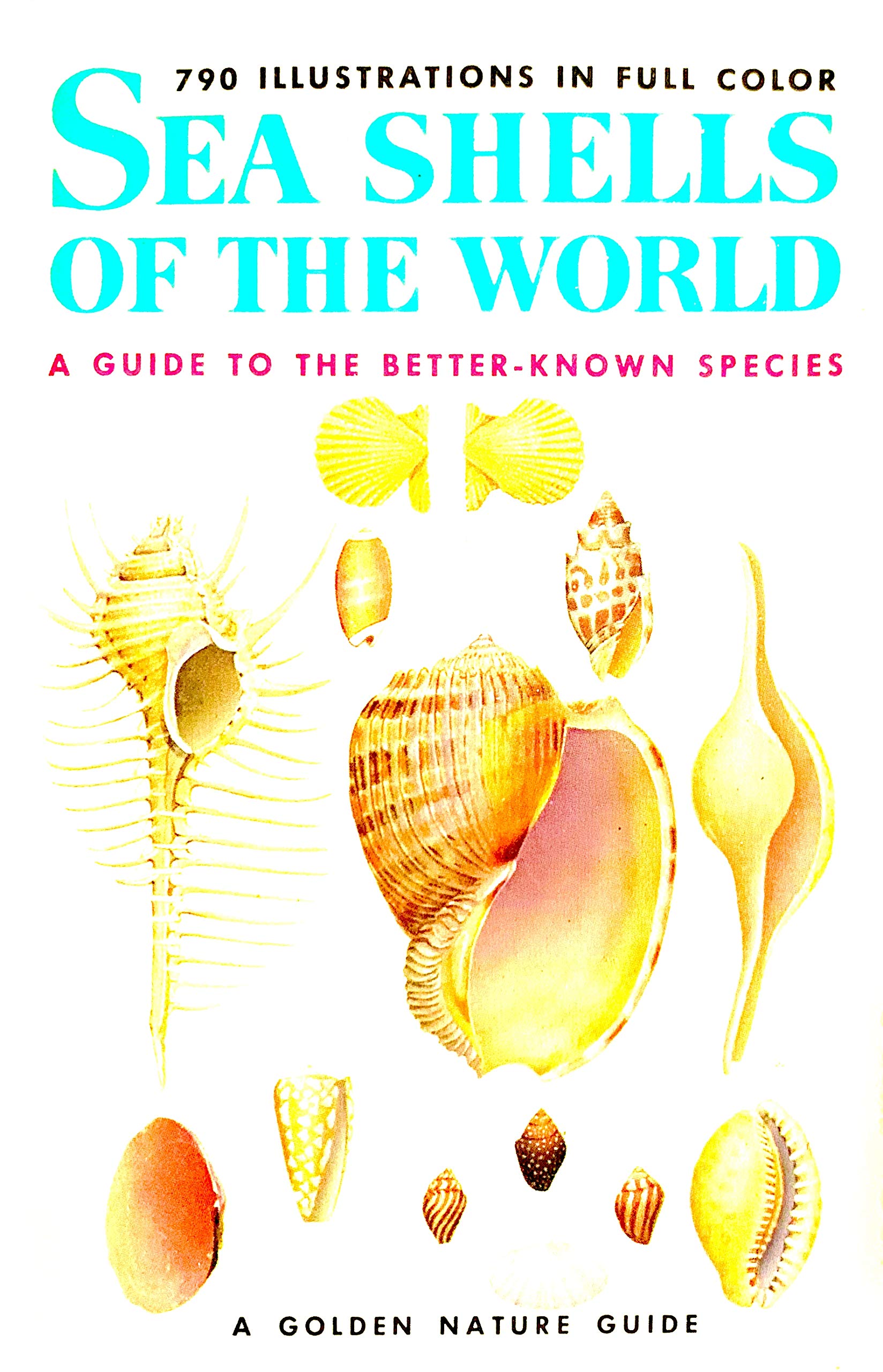 Seashells of the World - A Guide to the Better-Known Species (Golden Nature Guides) used book depot