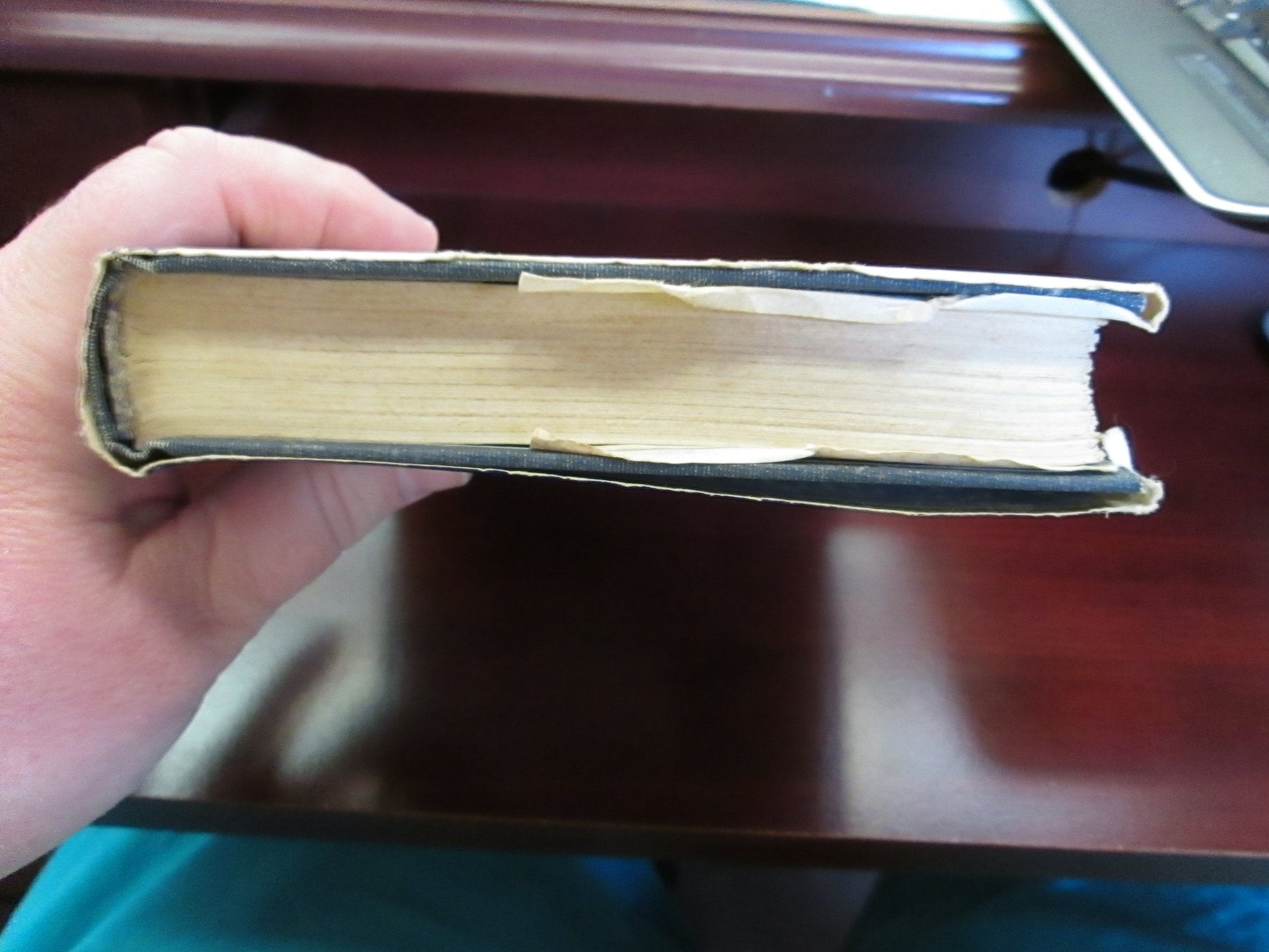 A Private Disgrace: Lizzie Borden by Daylight used book depot