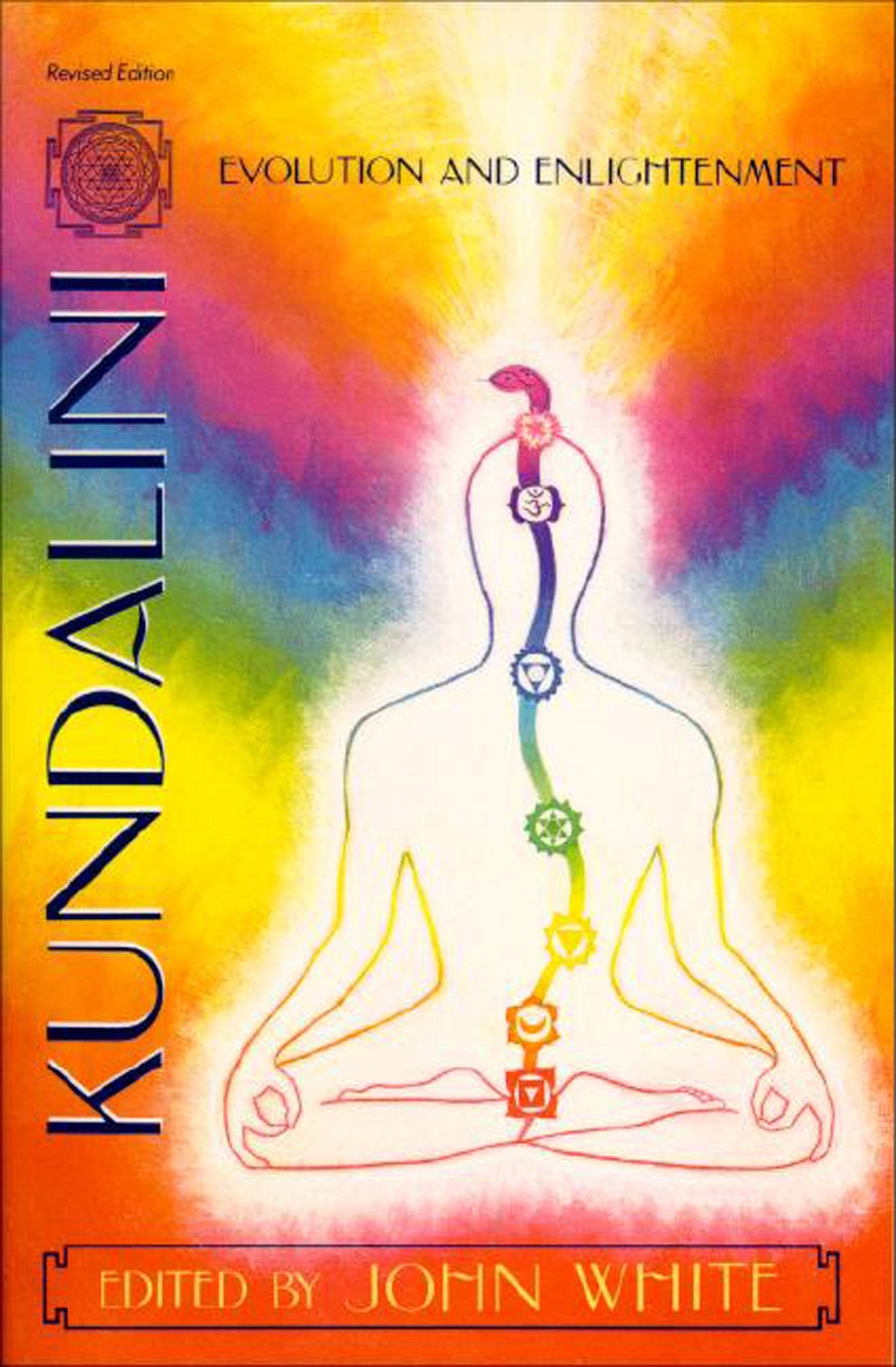 Kundalini, Evolution and Enlightenment (Omega Book) used book depot