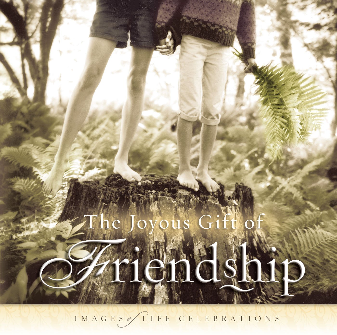 The Joyous Gift of Friendship: Images of Life Celebration: Images of Life Celebrations