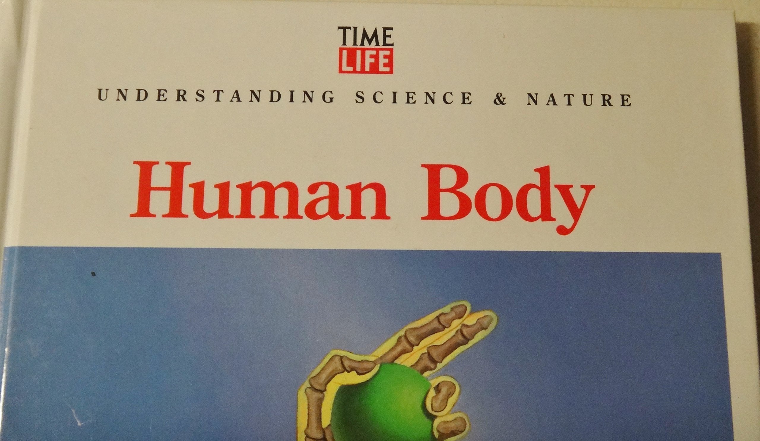 Human Body (Understanding Science and Nature) used book depot
