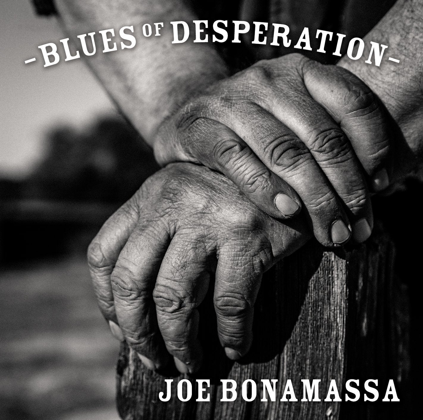 Blues Of Desperation used book depot