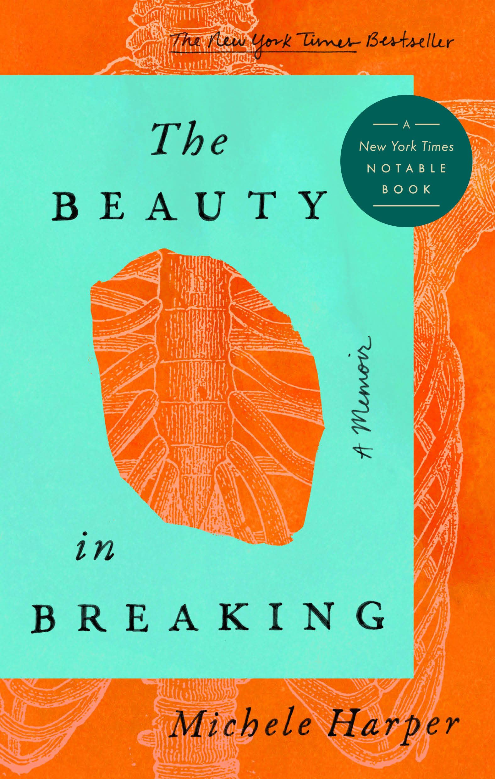 The Beauty in Breaking: A Memoir used book depot