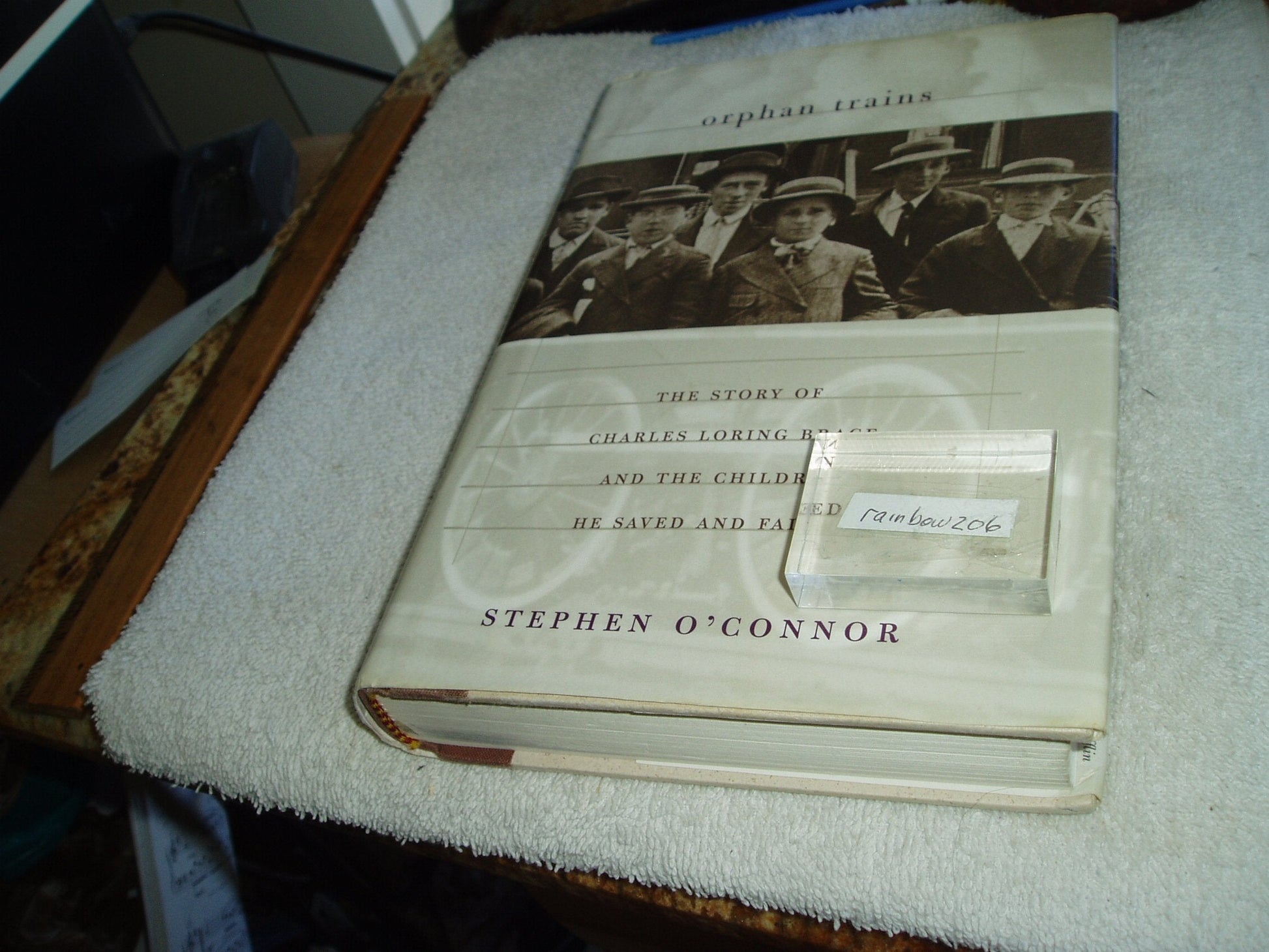 The Orphan Trains: The Story of Charles Loring Brace and the Children He Saved and Failed, 1853-1929 used book depot