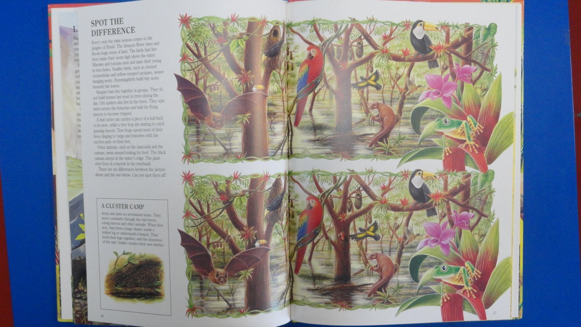 Wildlife Homes (Nature Search) used book depot