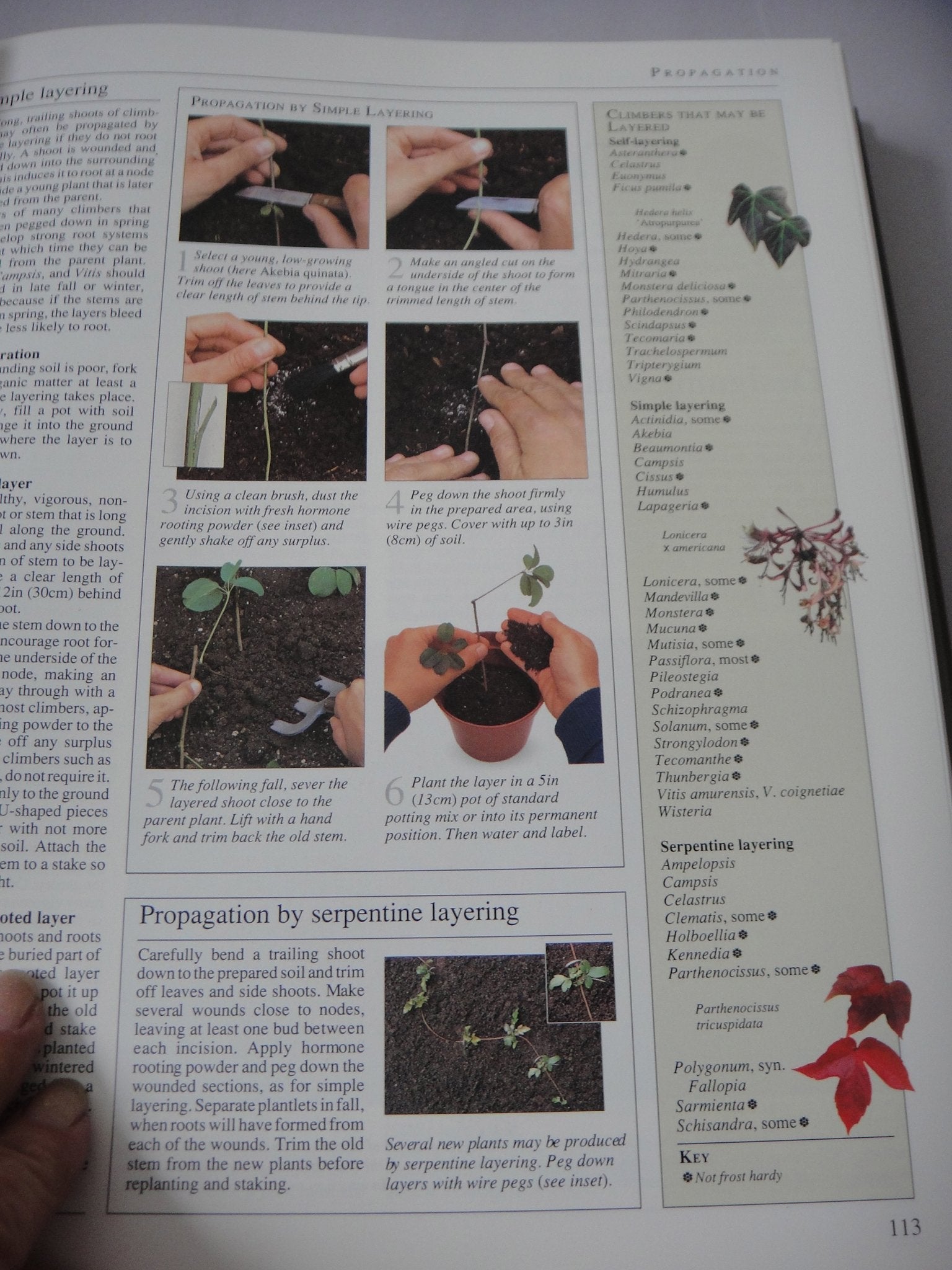 American Horticultural Society Encyclopedia of Gardening used book depot