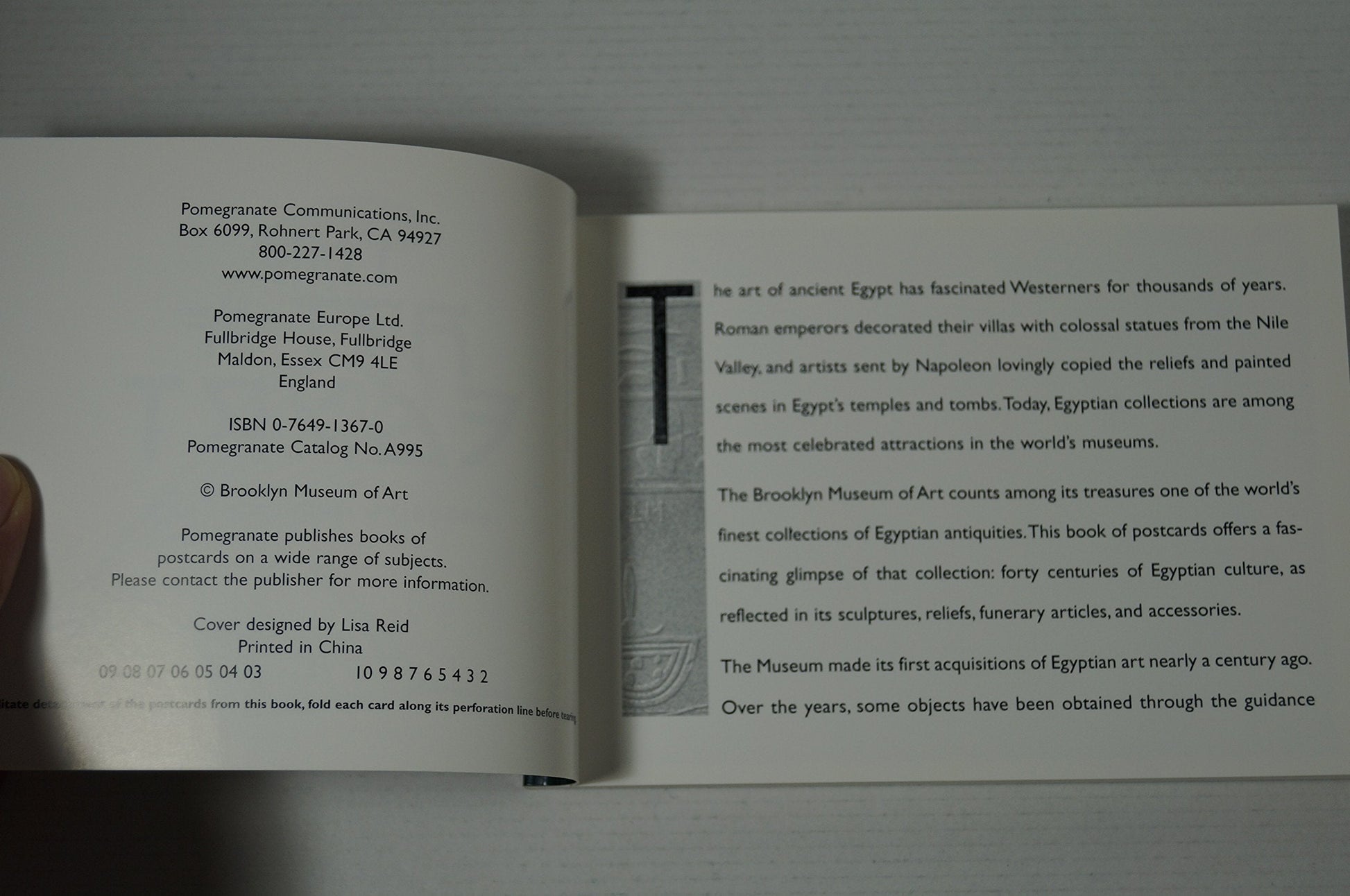 The Art of Egypt Book of Postcards used book depot