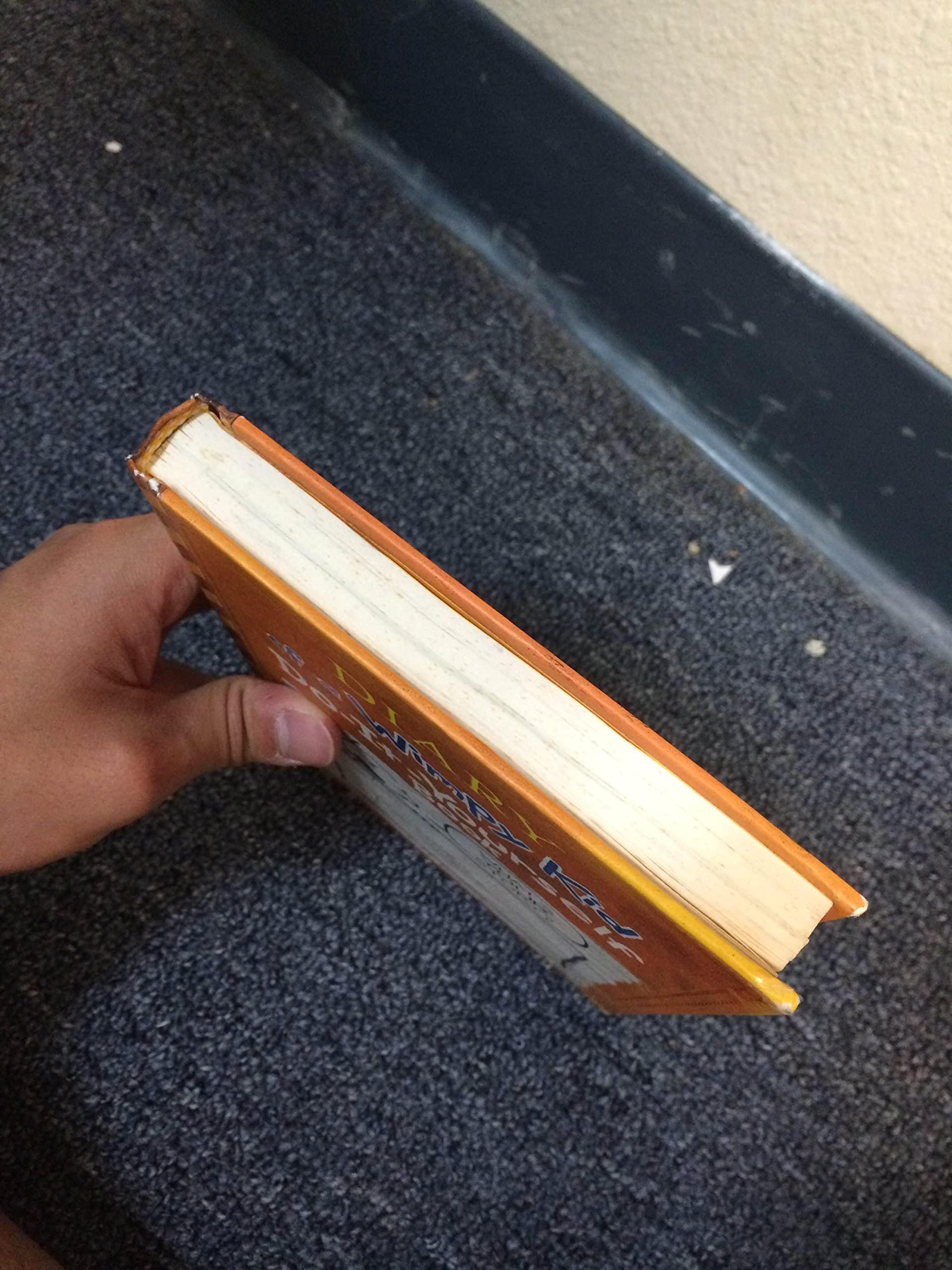 Diary of a Wimpy Kid Do-it-yourself Book used book depot