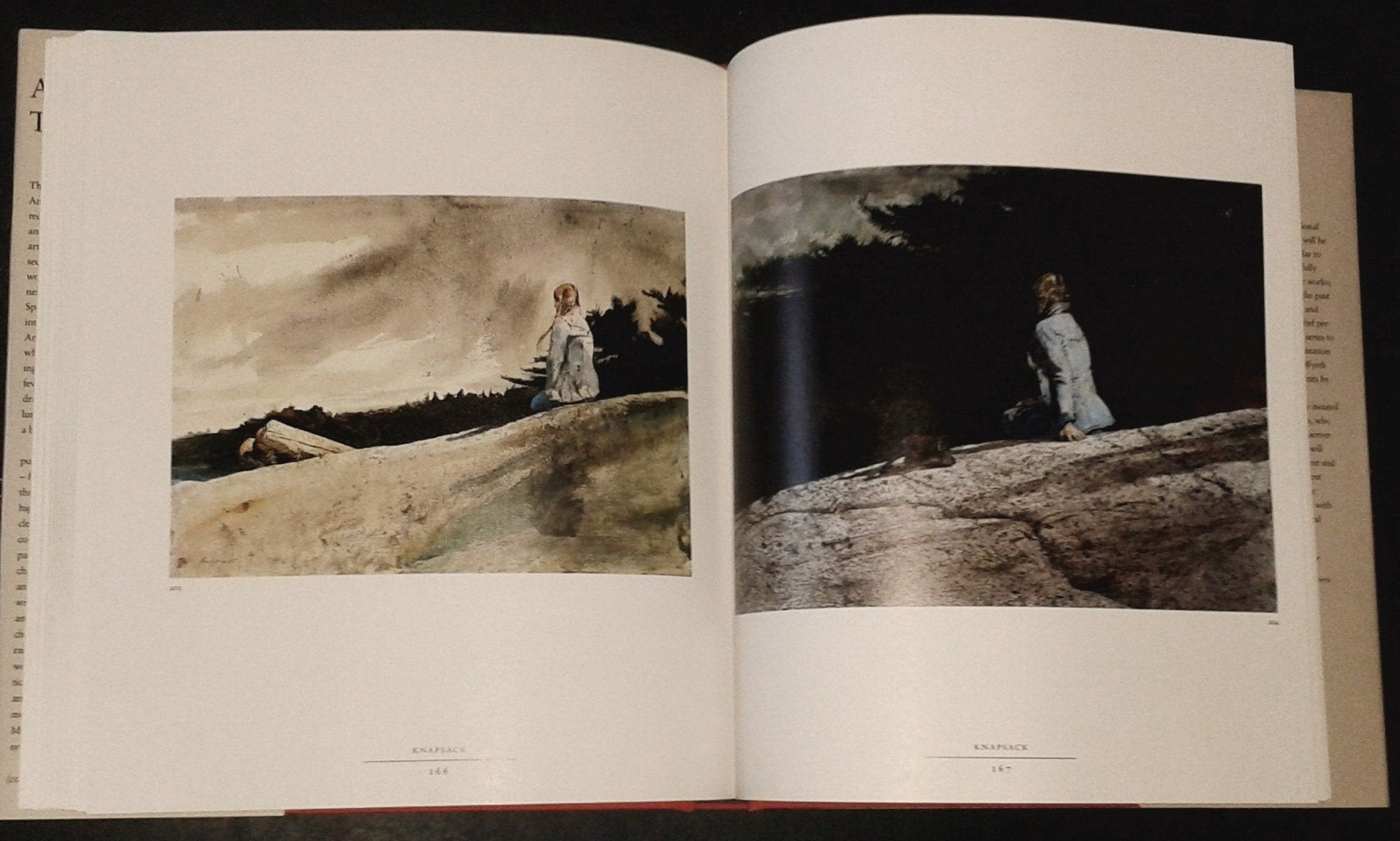 Andrew Wyeth: The Helga Pictures used book depot