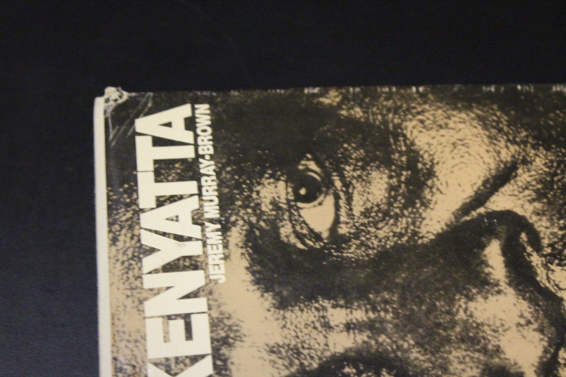Kenyatta used book depot