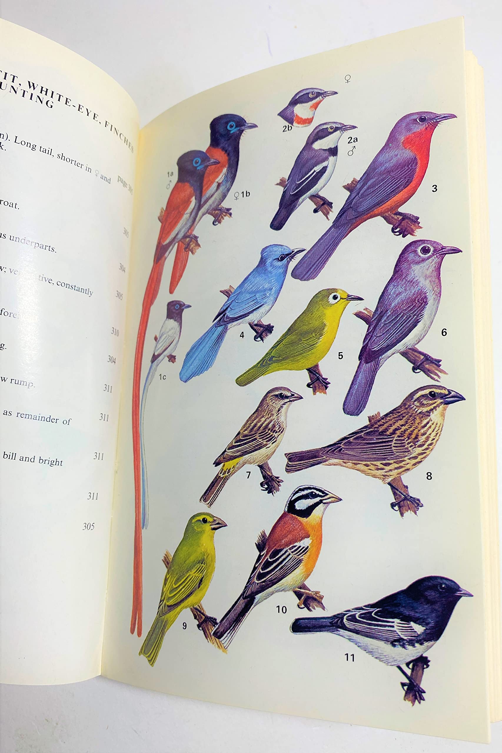 National Parks of East Africa (Collins Field Guides) used book depot