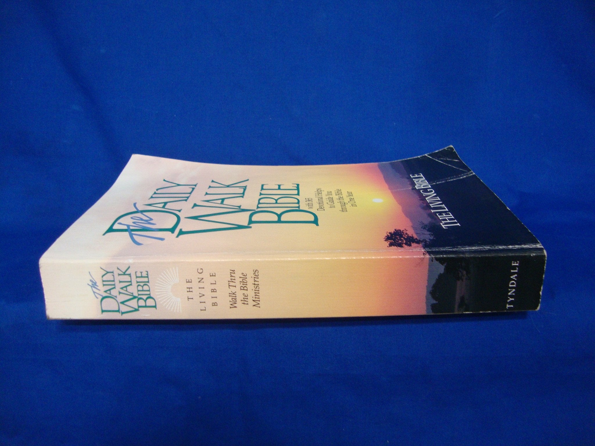 The Daily Walk Bible With 365 Devotional Helps to Guide You Through the Bible in One Year