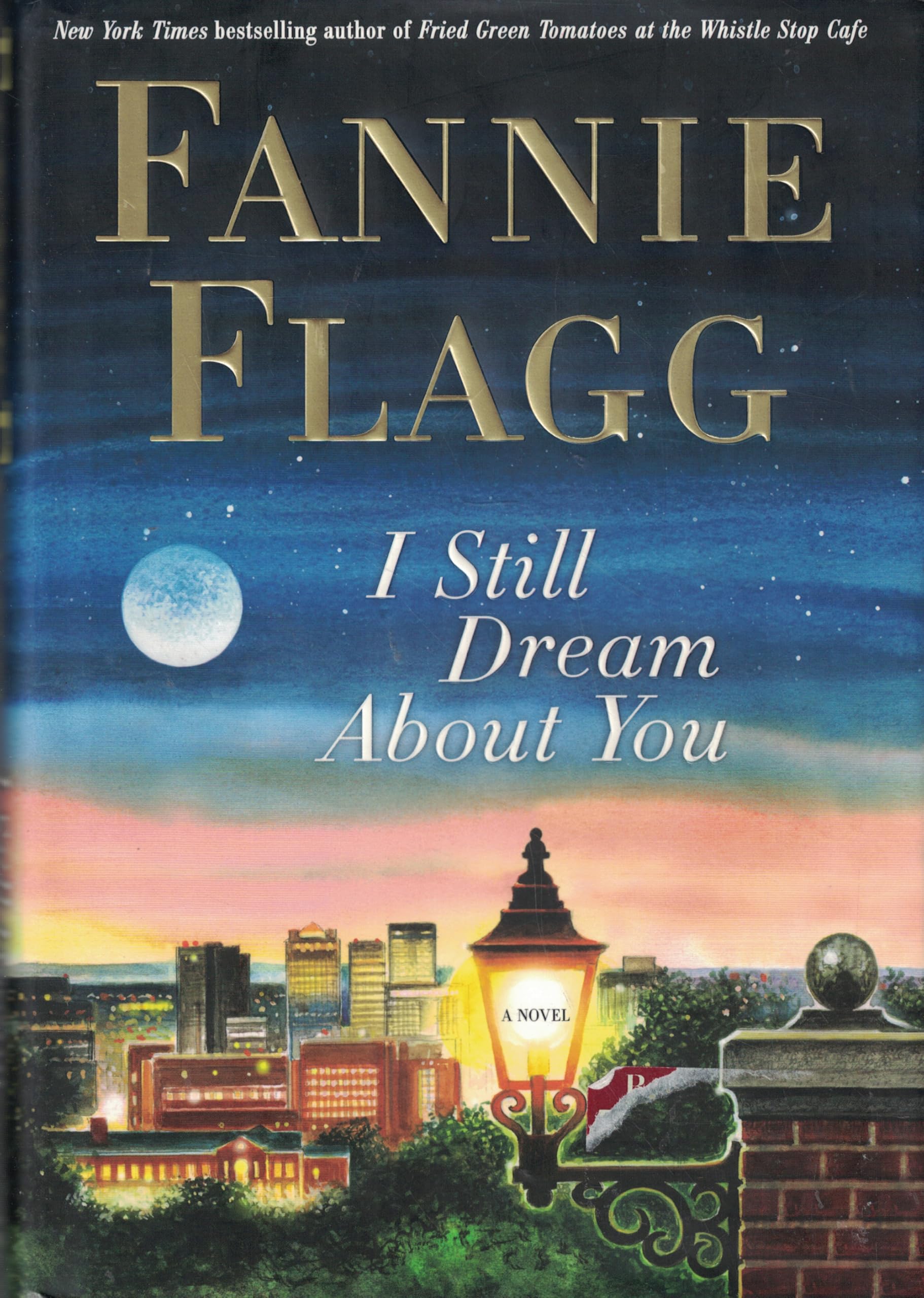 I Still Dream About You: A Novel used book depot