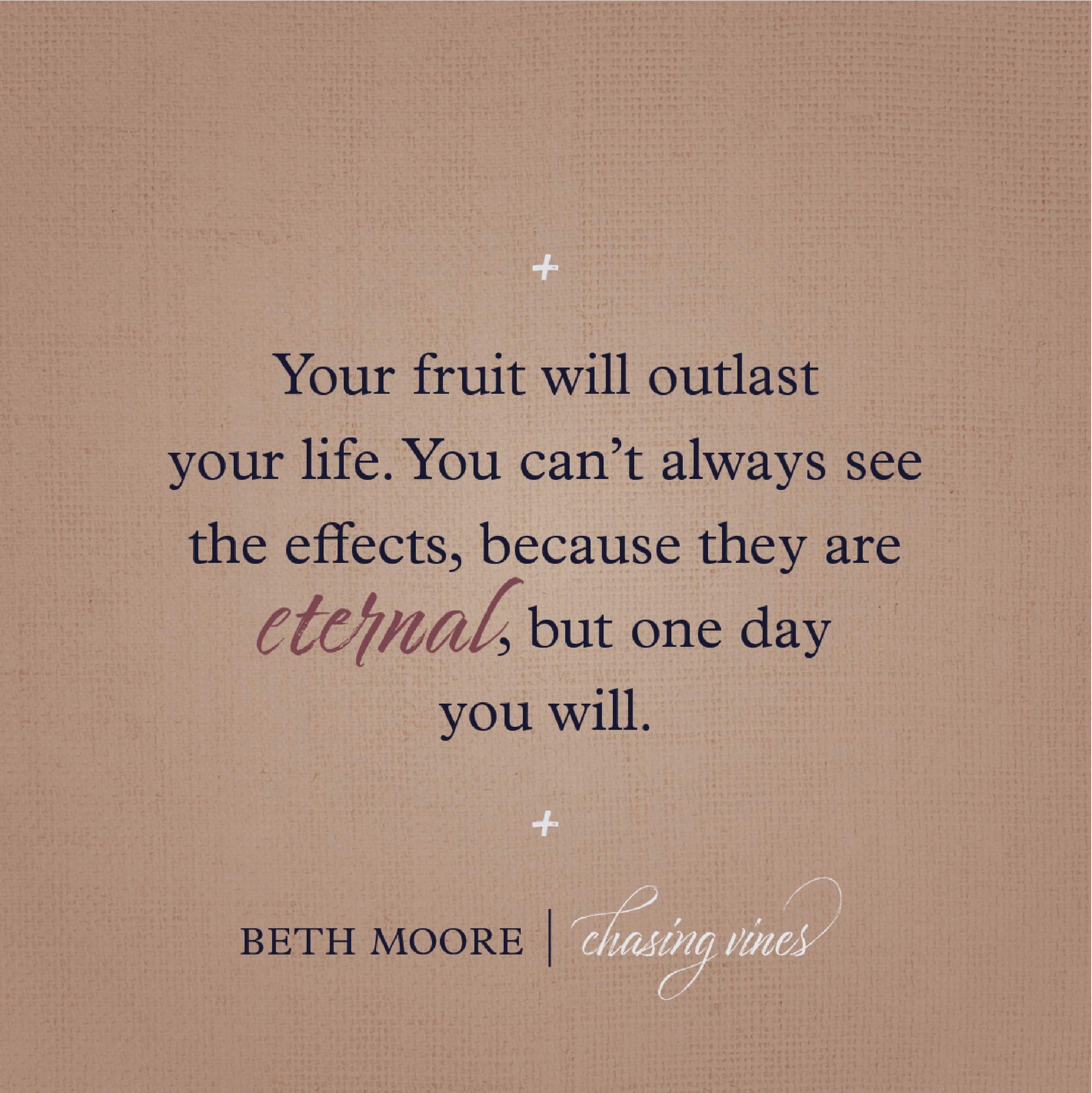 Chasing Vines: Finding Your Way to an Immensely Fruitful Life used book depot