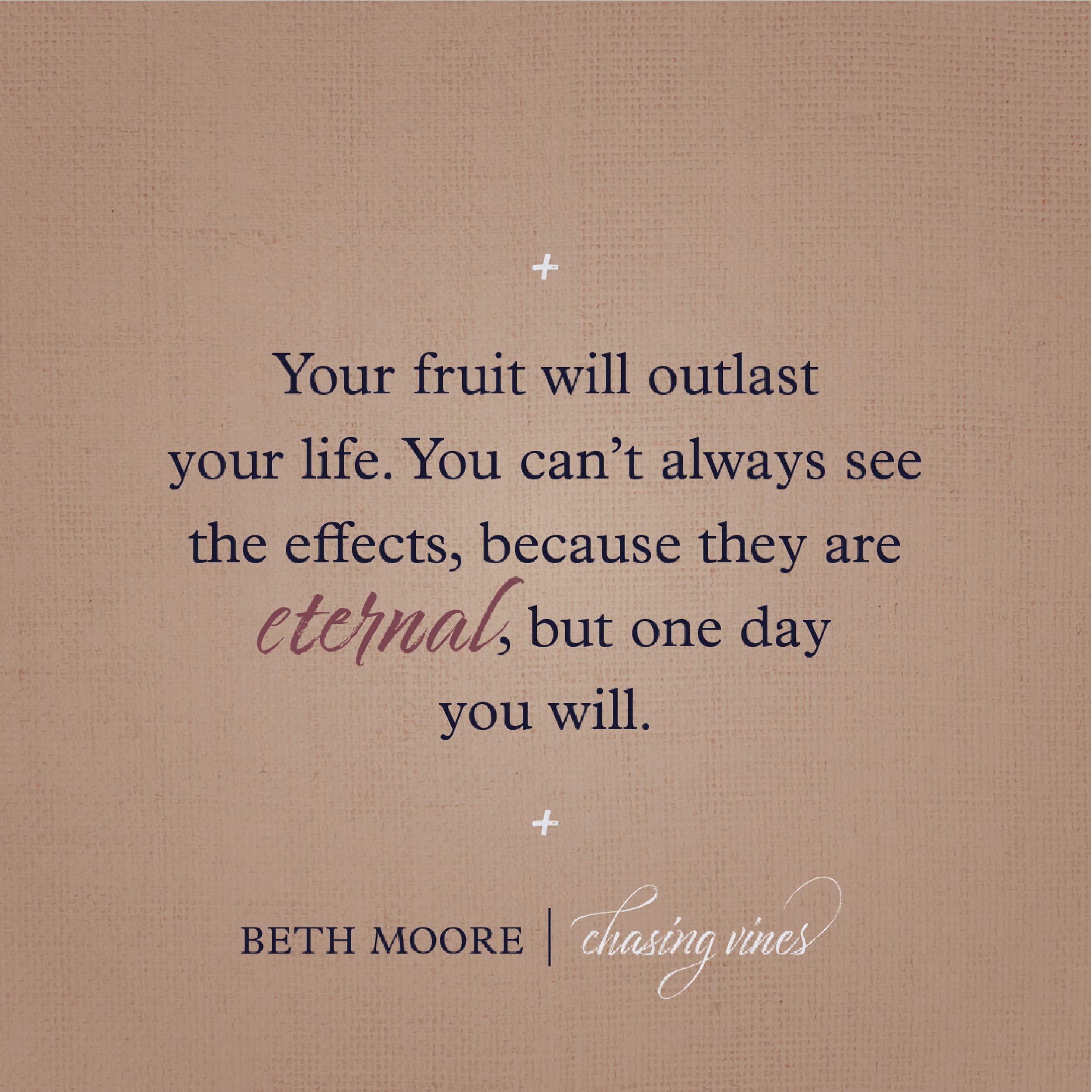 Chasing Vines: Finding Your Way to an Immensely Fruitful Life used book depot