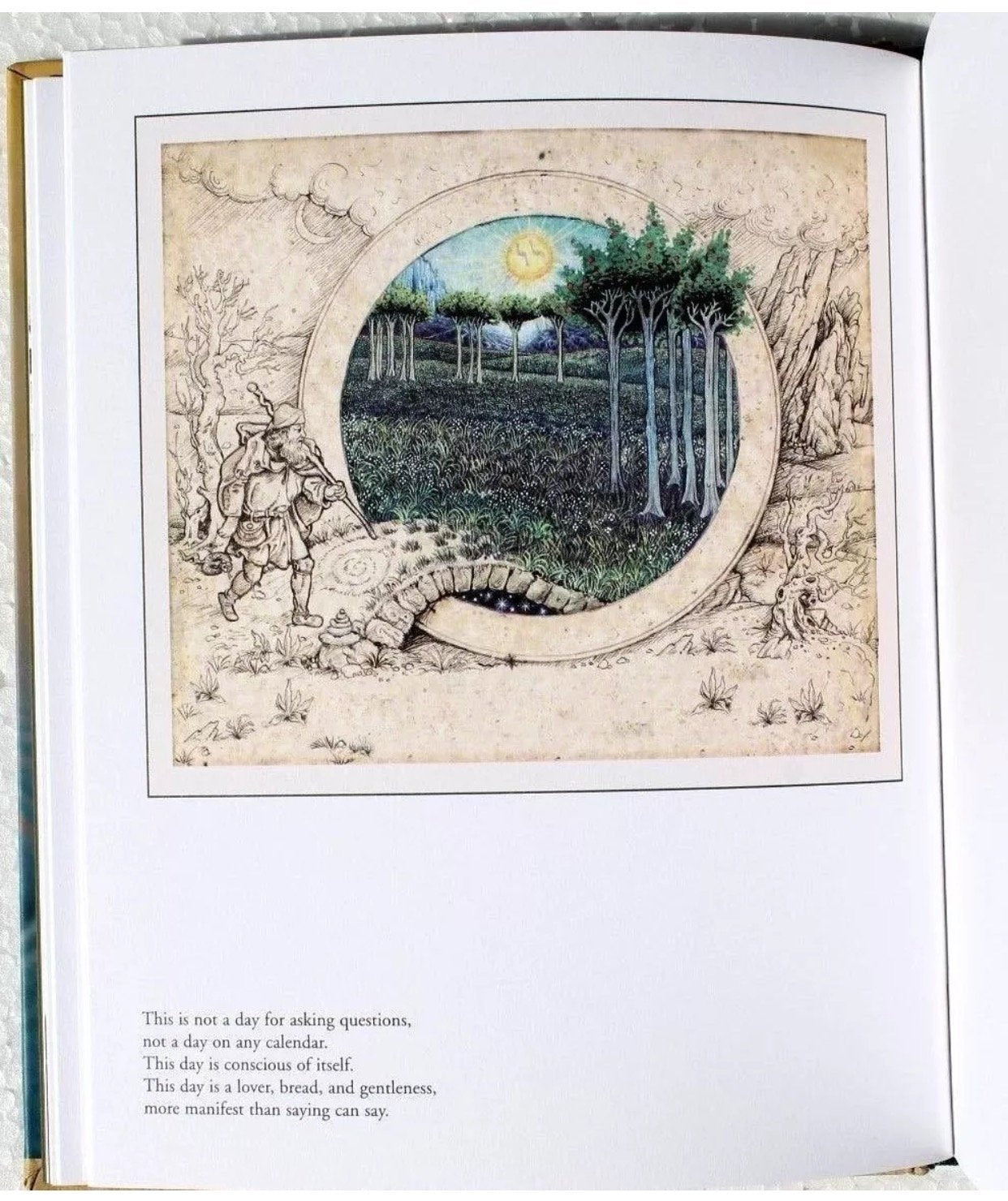 The Poetry of Rumi Illustrated Journal J1-RUM used book depot