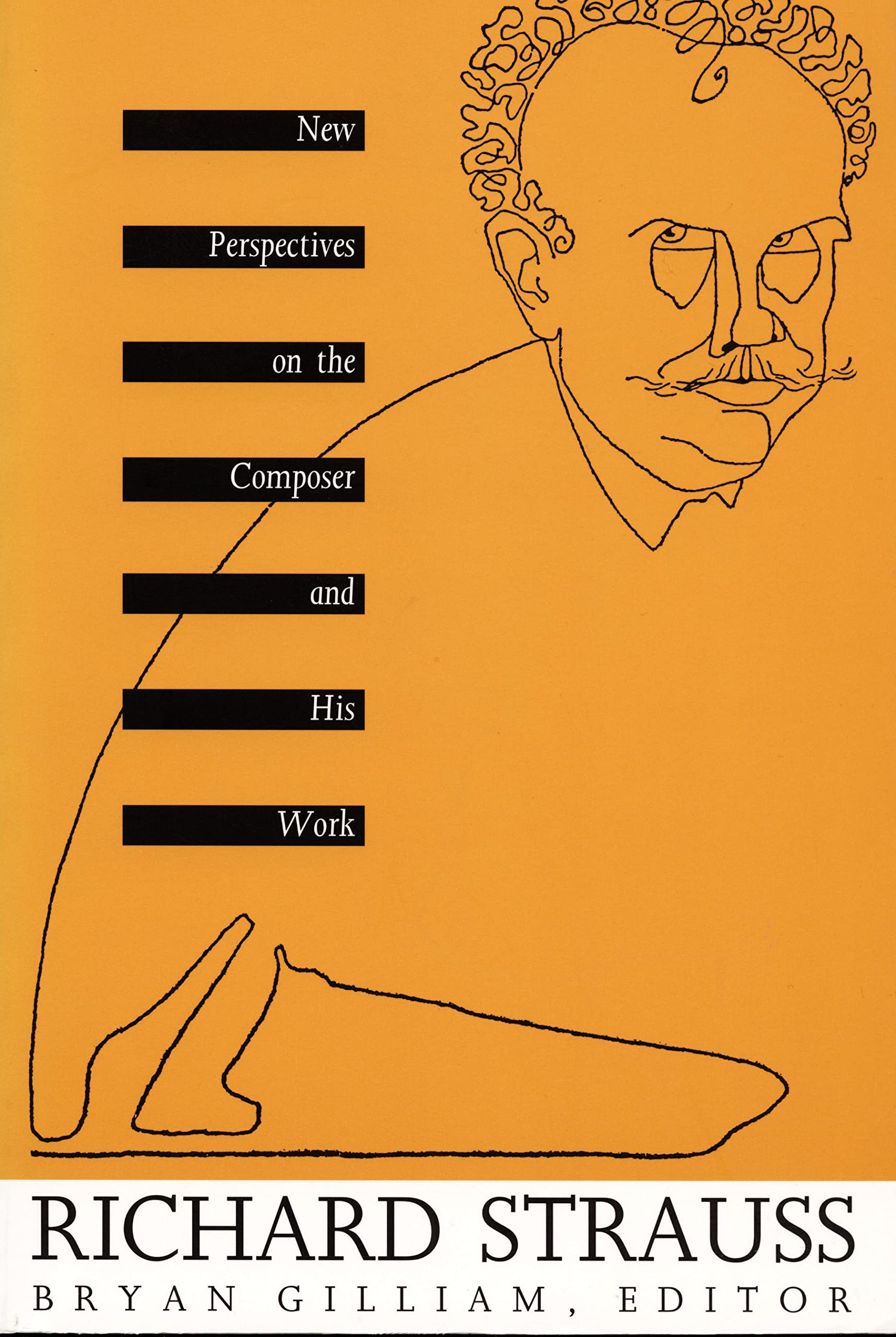 Richard Strauss: New Perspectives on the Composer and His Work (Sources of Music & Their Interpretation S) used book depot