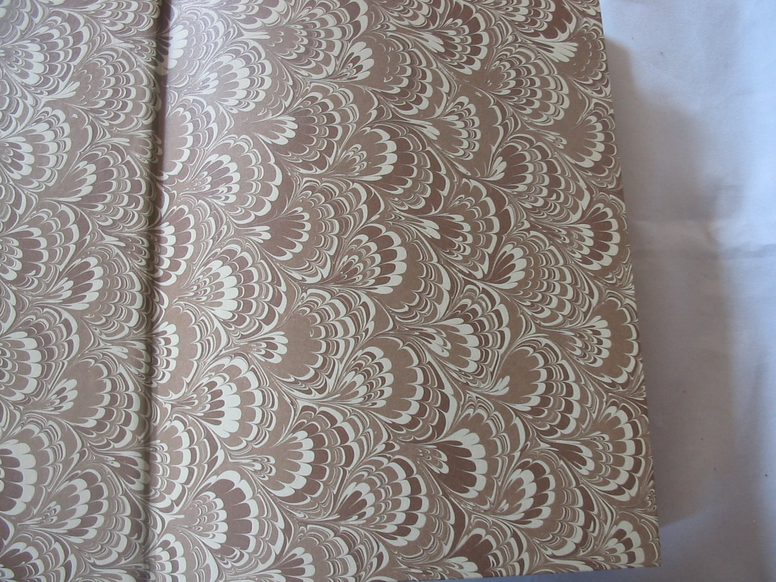 The Edwardian Lady: The Story of Edith Holden, Author of the Country Diary of an Edwardian Lady used book depot