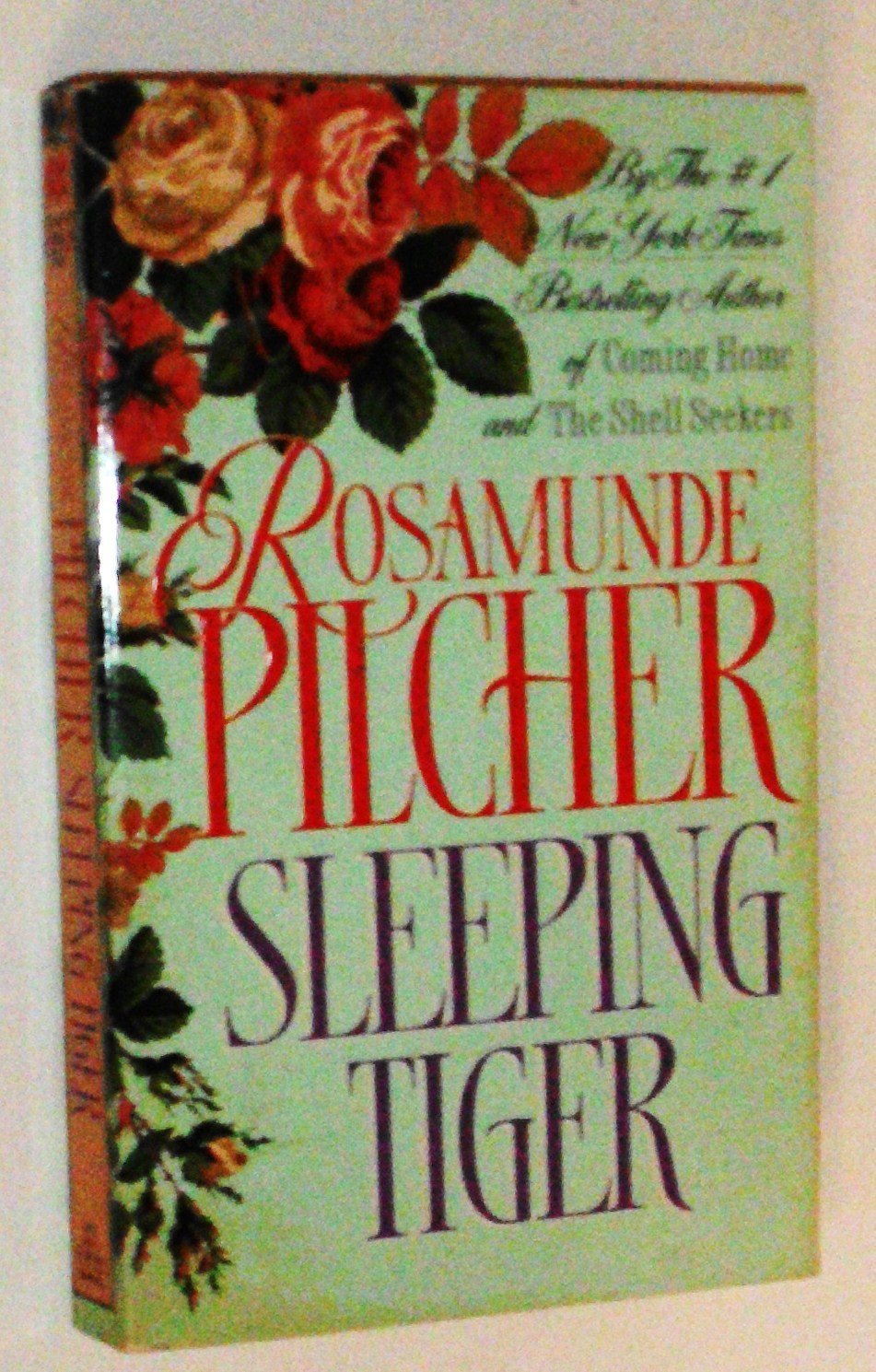 Sleeping Tiger used book depot