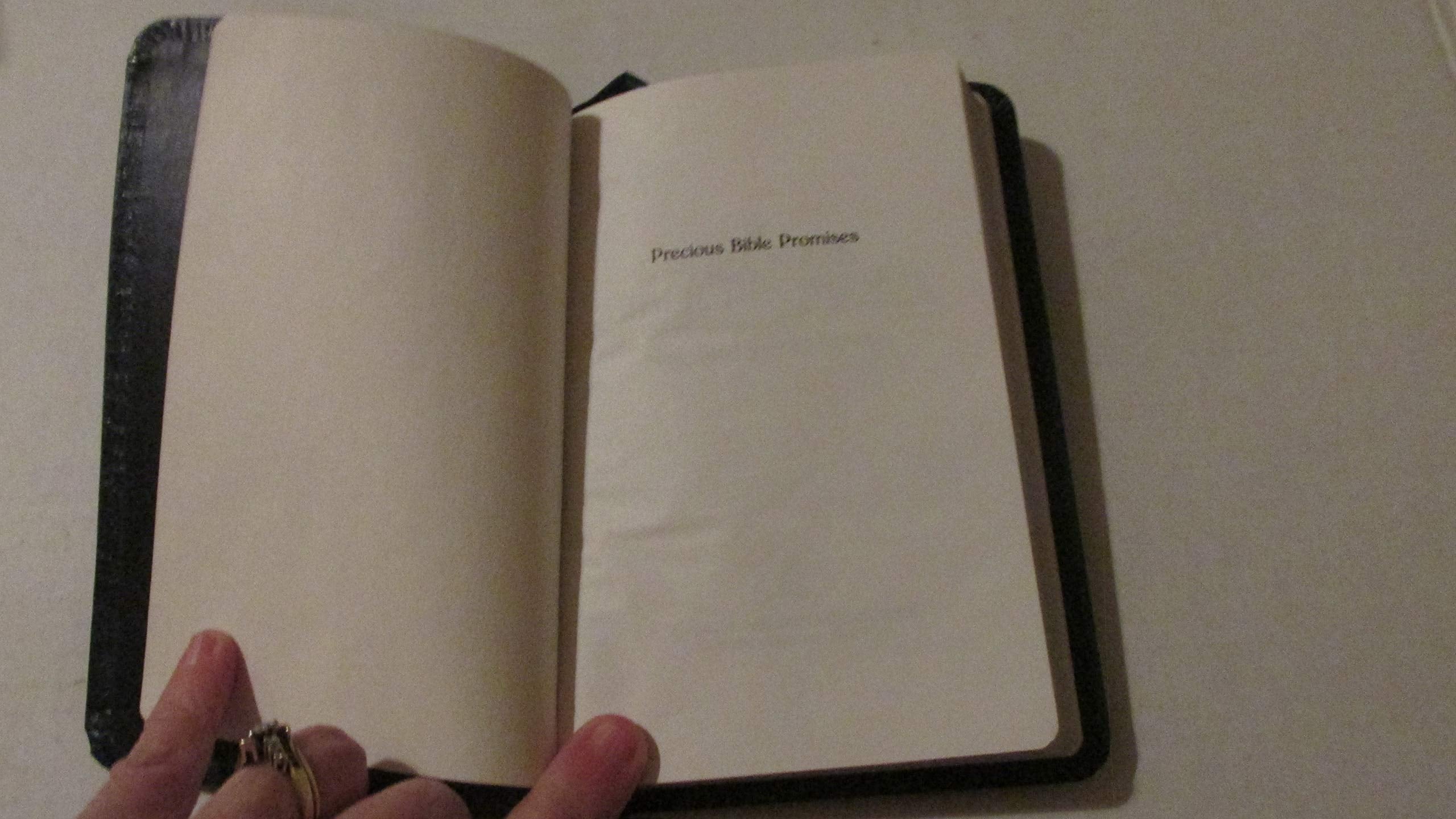 Precious Bible Promises