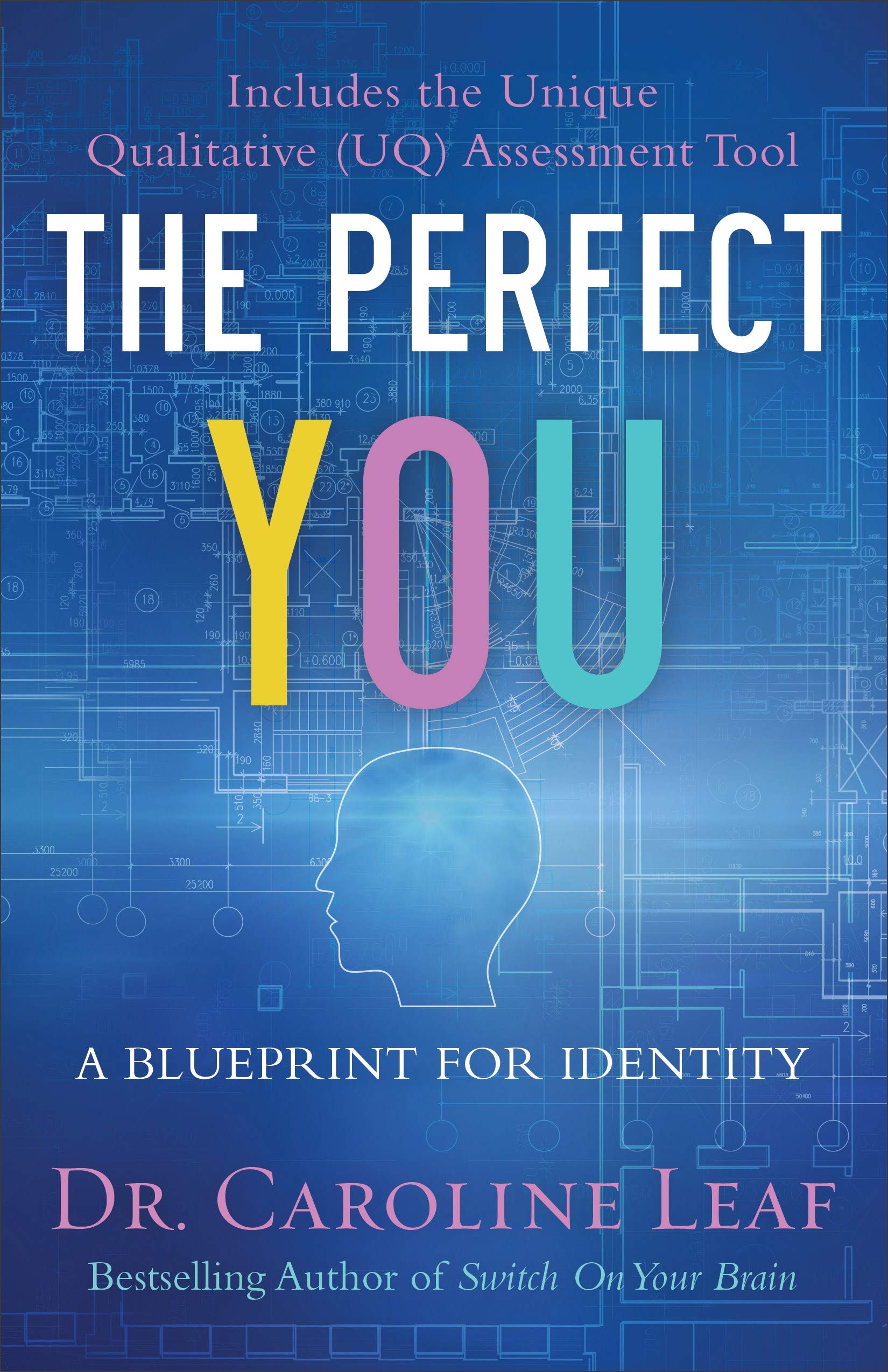 The Perfect You: A Blueprint for Identity used book depot