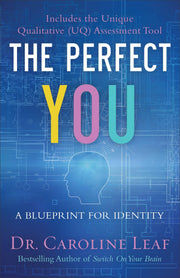 The Perfect You: A Blueprint for Identity used book depot