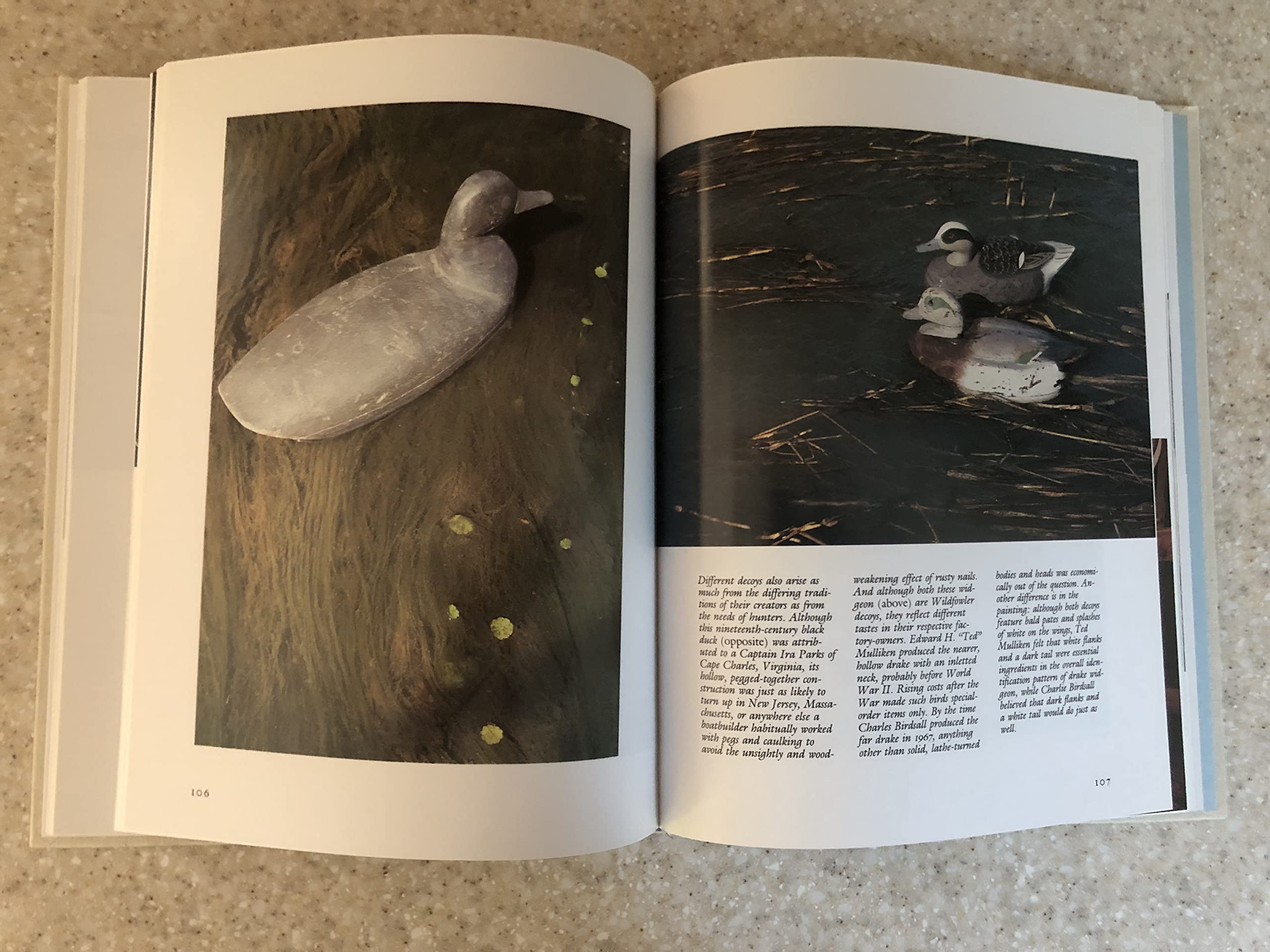 Floaters and stick-ups: A personal survey of wildfowl decoys used book depot