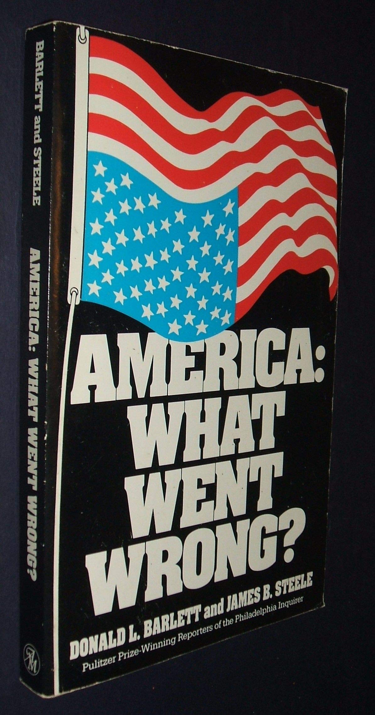 America: What Went Wrong? used book depot