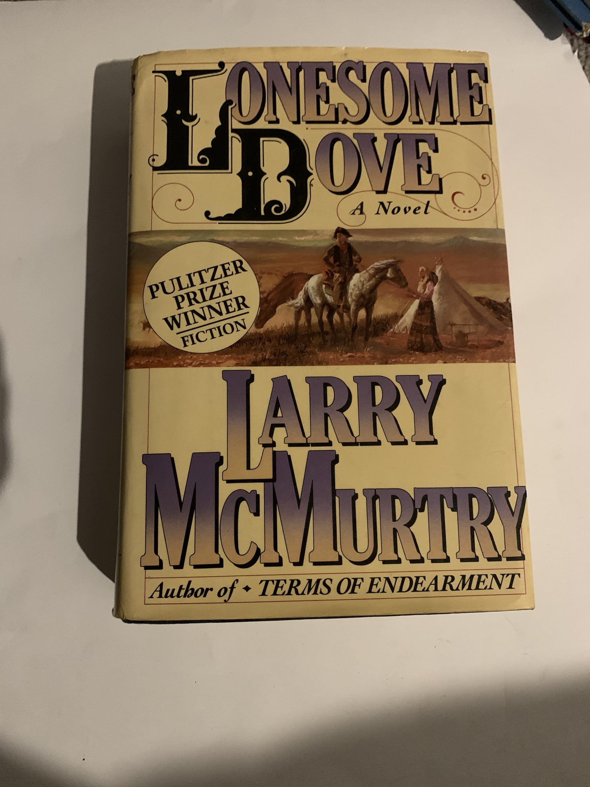 Lonesome Dove used book depot