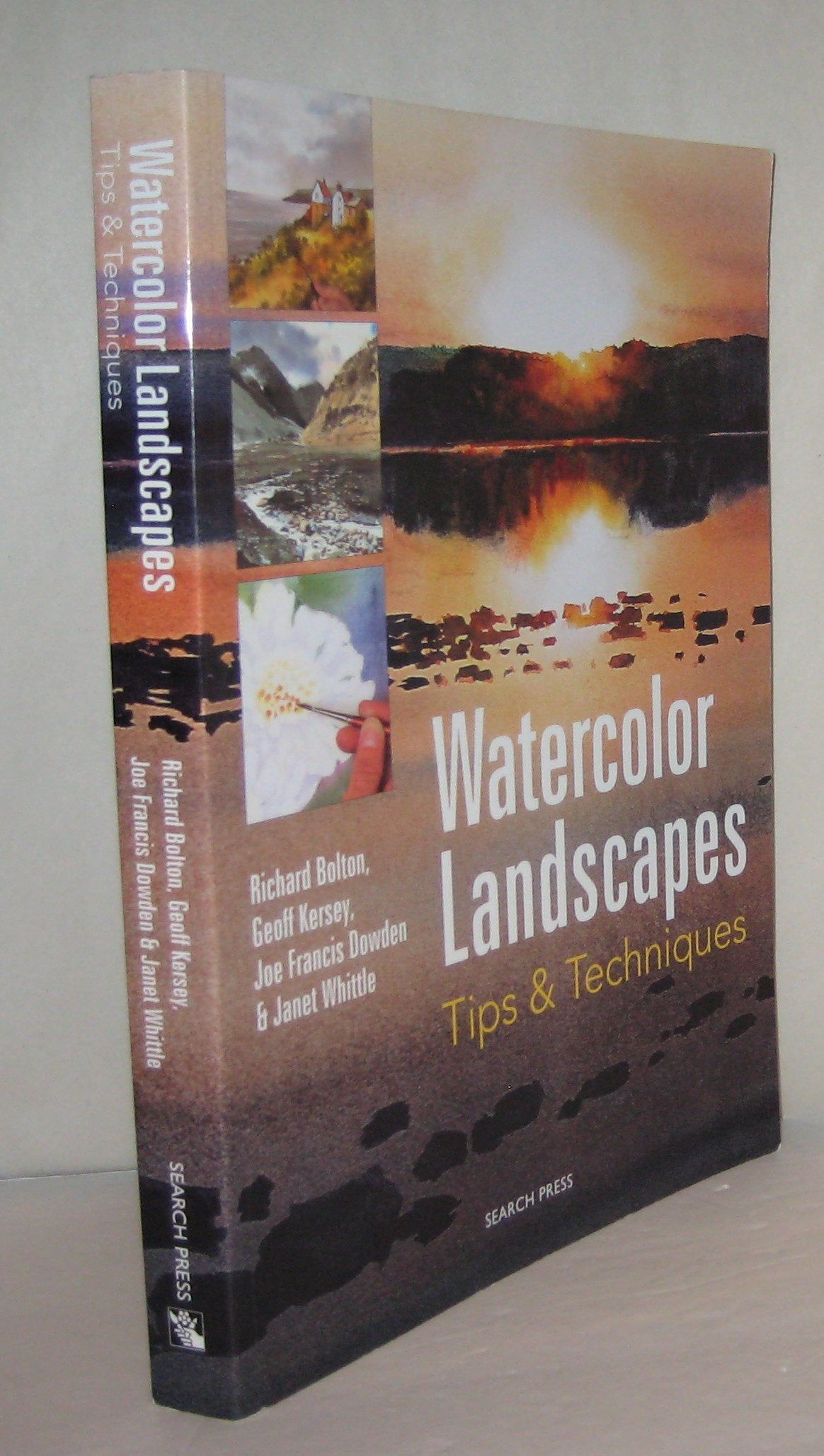 Watercolor Landscapes used book depot