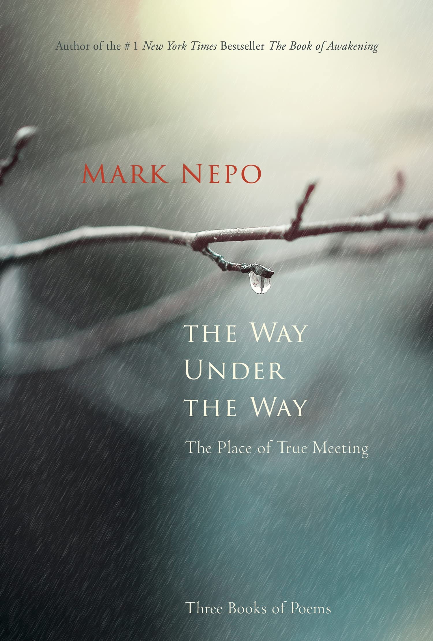 The Way Under the Way: The Place of True Meeting used book depot