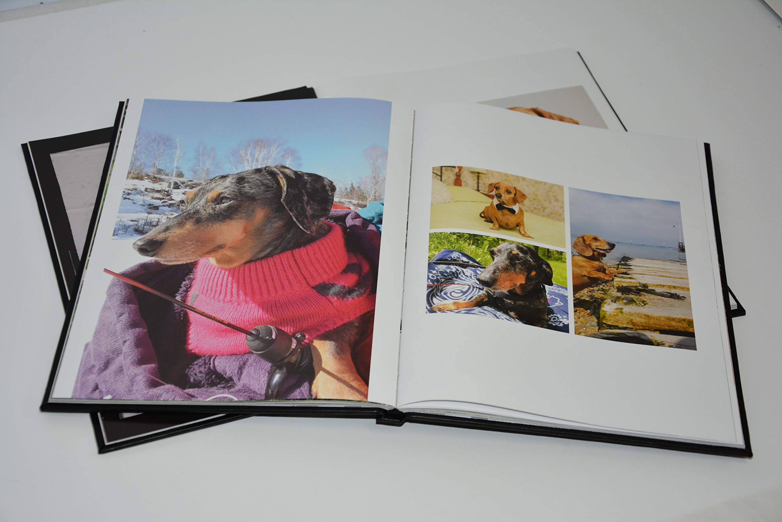 The Book of Dachshunds - Hardcover Dachshund Book used book depot