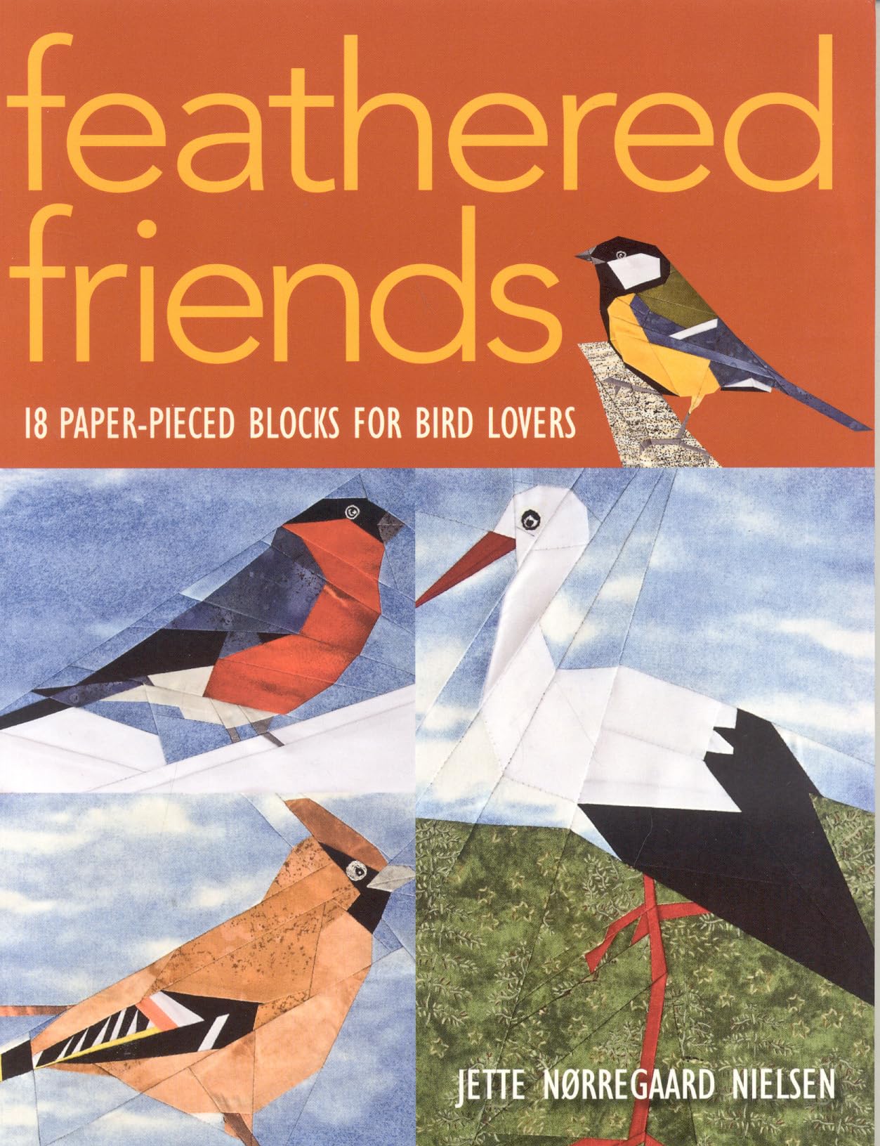 Feathered Friends: 18 Paper-Pieced Blocks for Bird Lovers used book depot