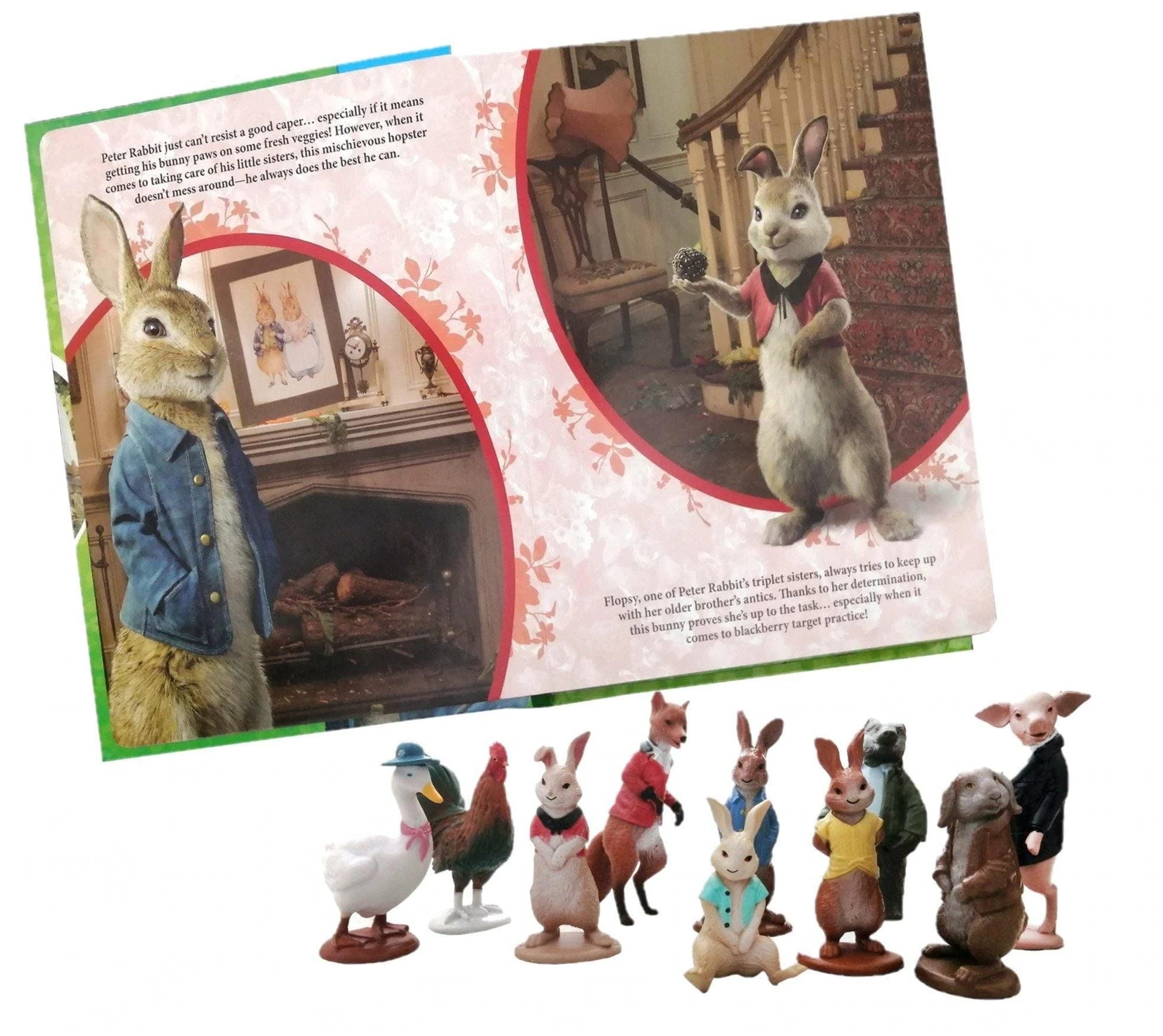 Peter Rabbit My Busy Books used book depot
