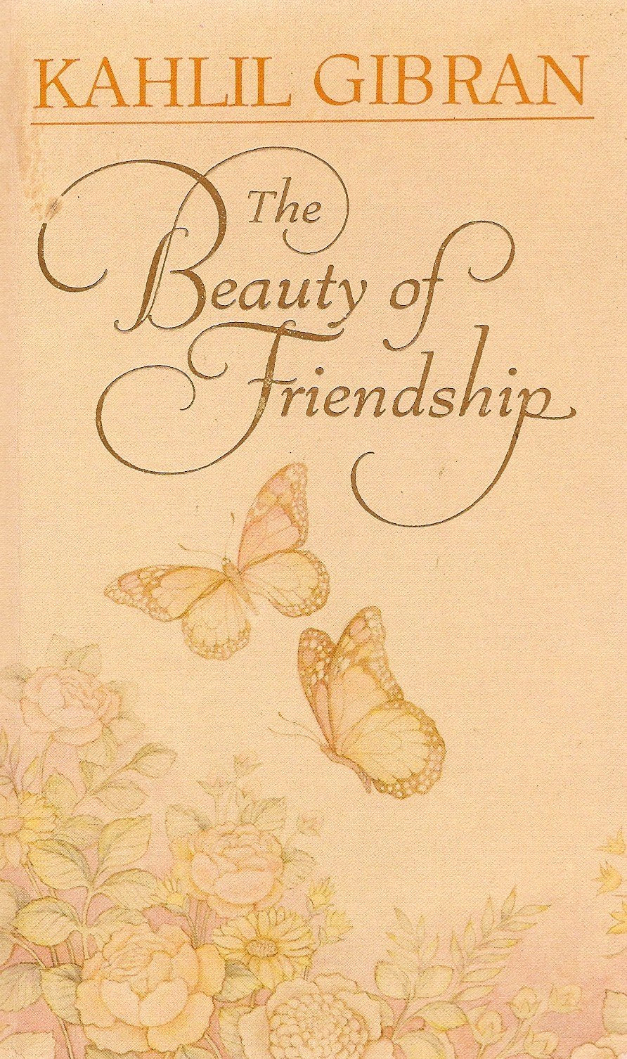 The Beauty of Friendship used book depot