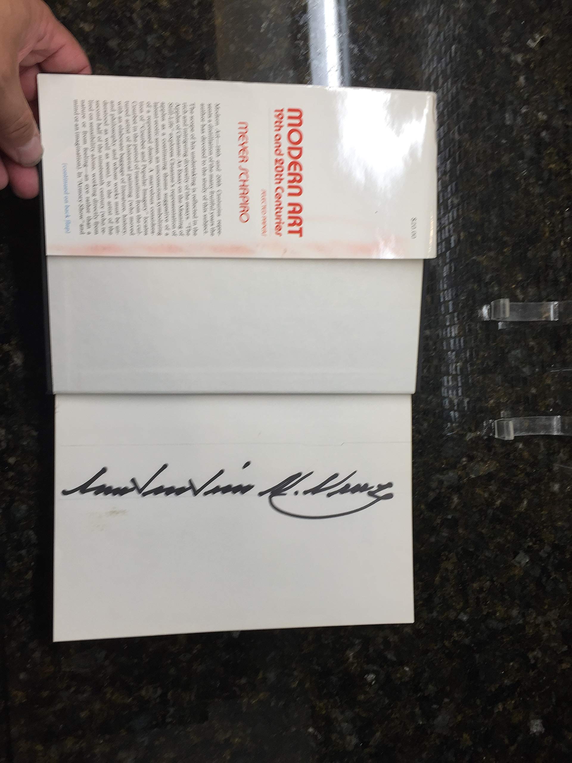 Modern Art, 19th & 20th Centuries (Selected Papers) used book depot