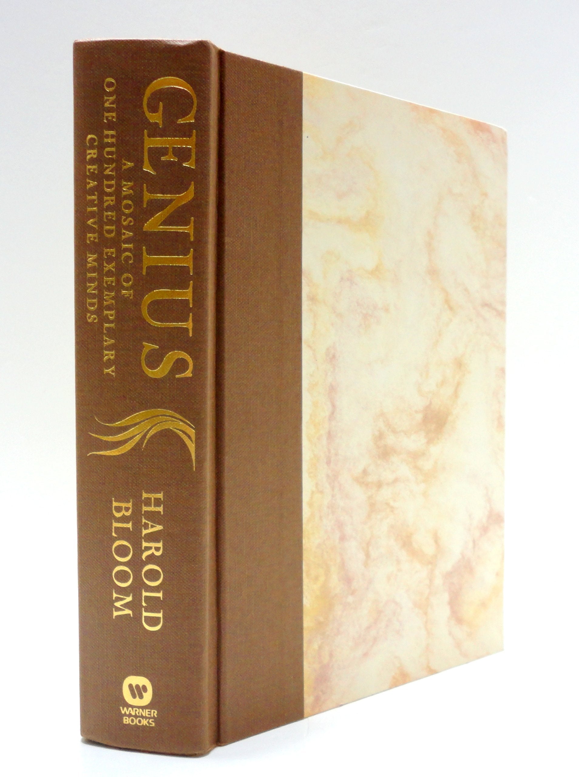 Genius: A Mosaic of One Hundred Exemplary Creative Minds used book depot