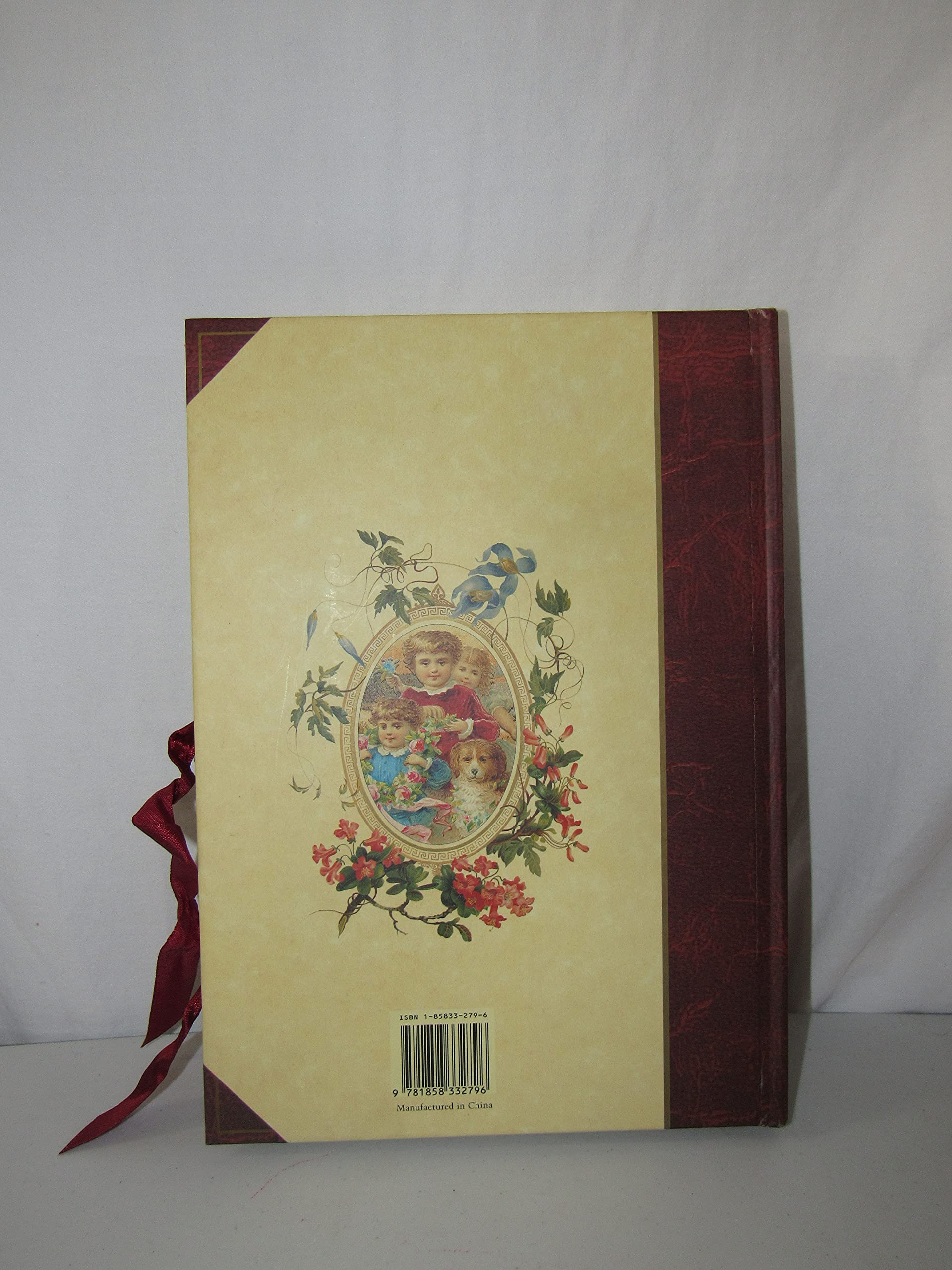 The Victorian Photograph Album: Large used book depot