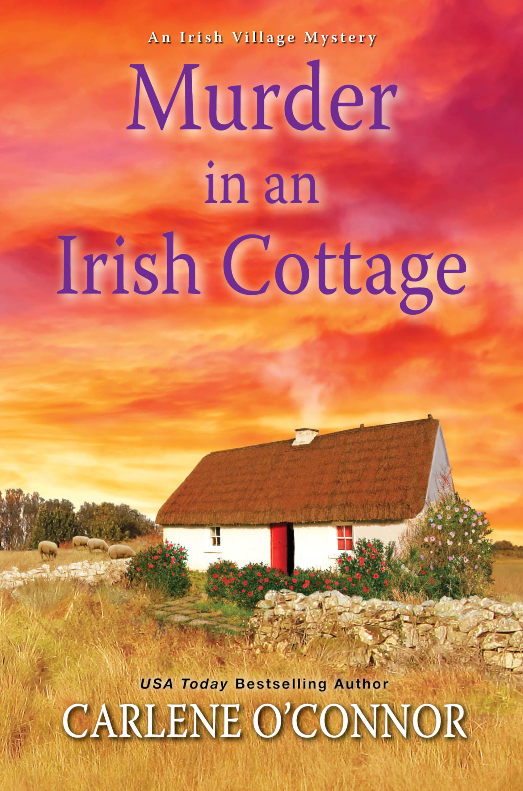 Murder in an Irish Cottage: A Charming Irish Cozy Mystery (An Irish Village Mystery) used book depot