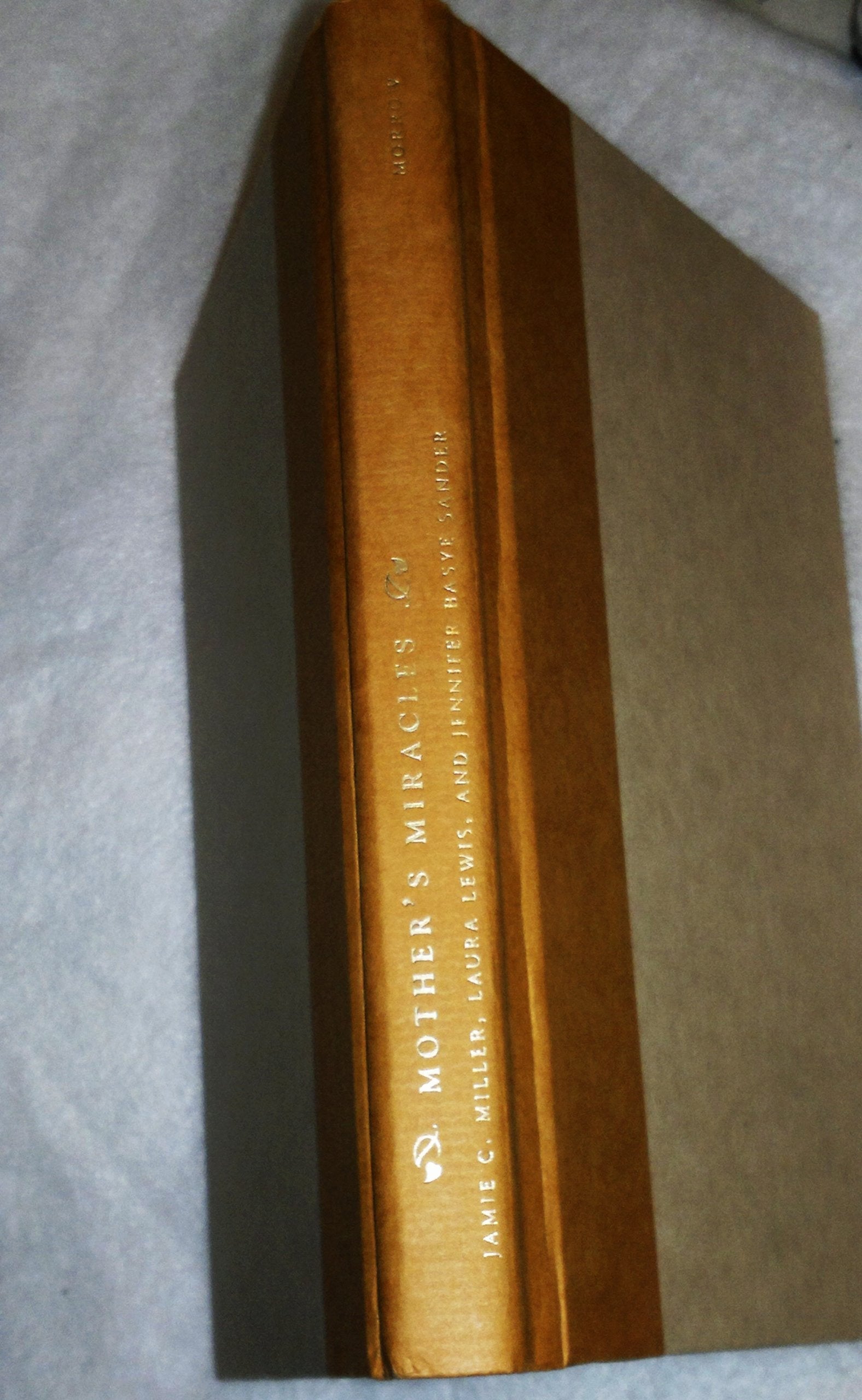 Mothers' Miracles: Magical True Stories Of Maternal Love And Courage used book depot