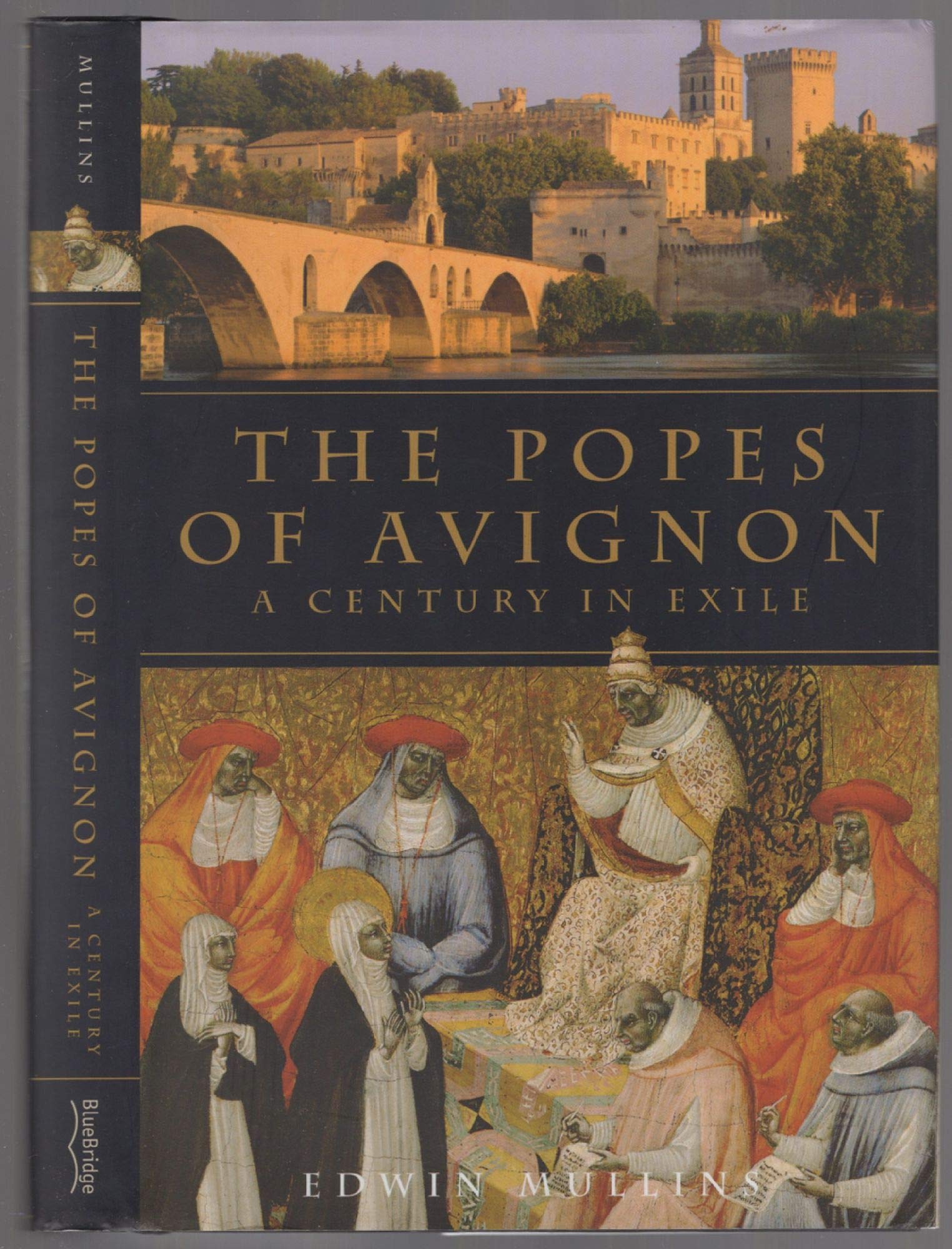 The Popes of Avignon: A Century in Exile used book depot