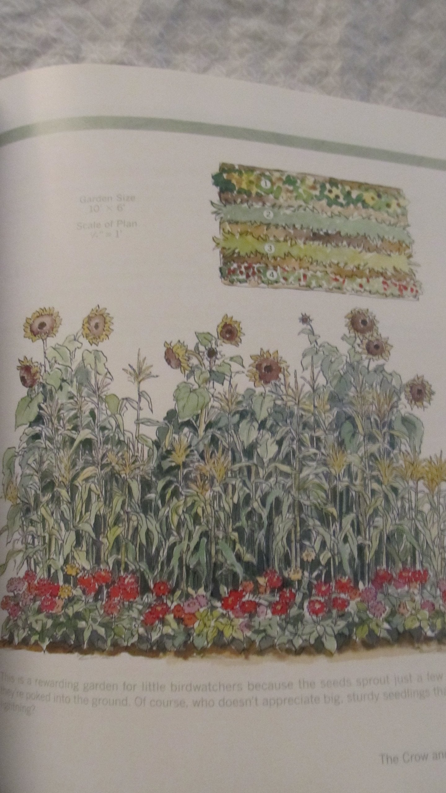 Rodale Books RODALE3113 Bird-by-Bird Gardening used book depot