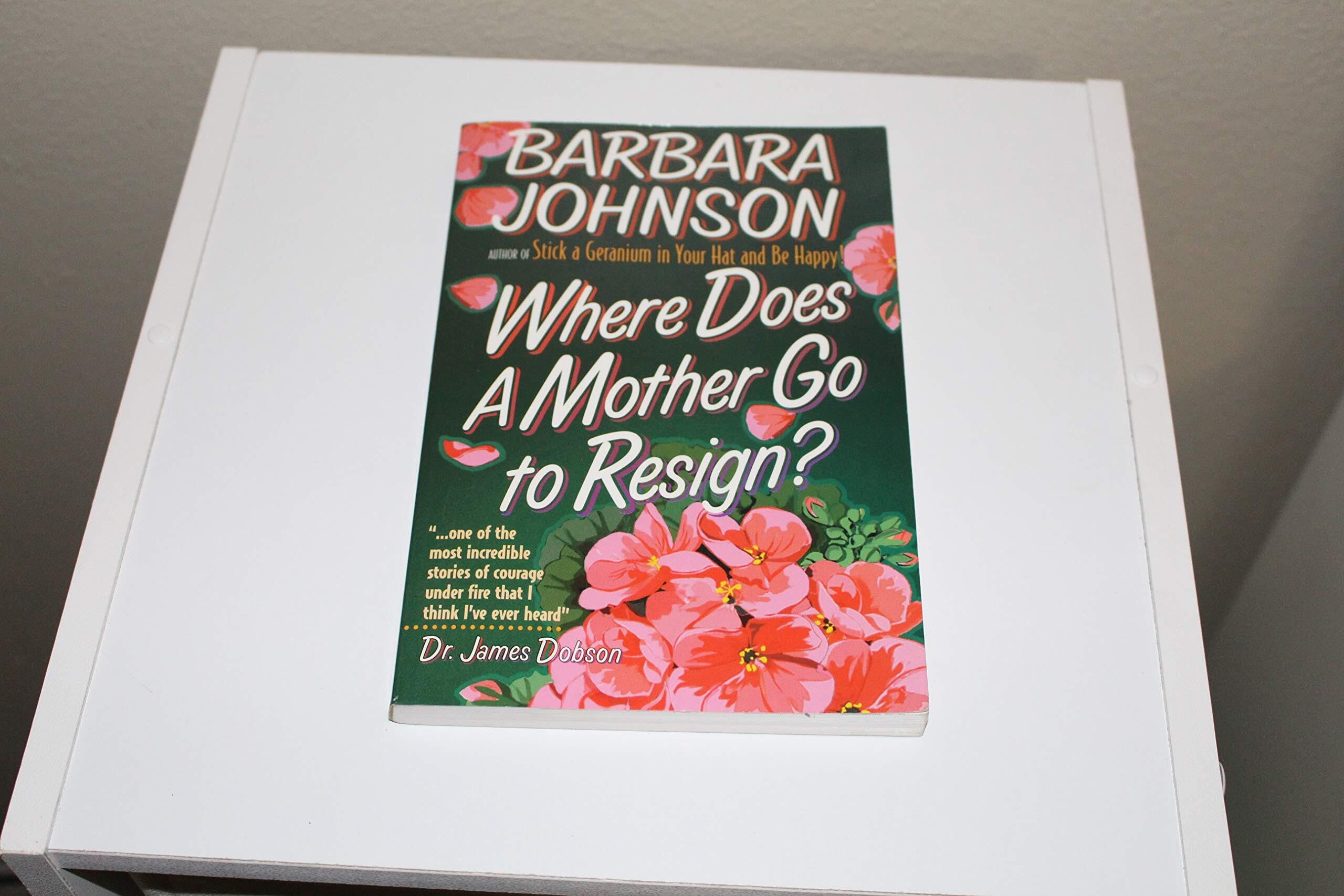 Where Does a Mother Go to Resign? used book depot