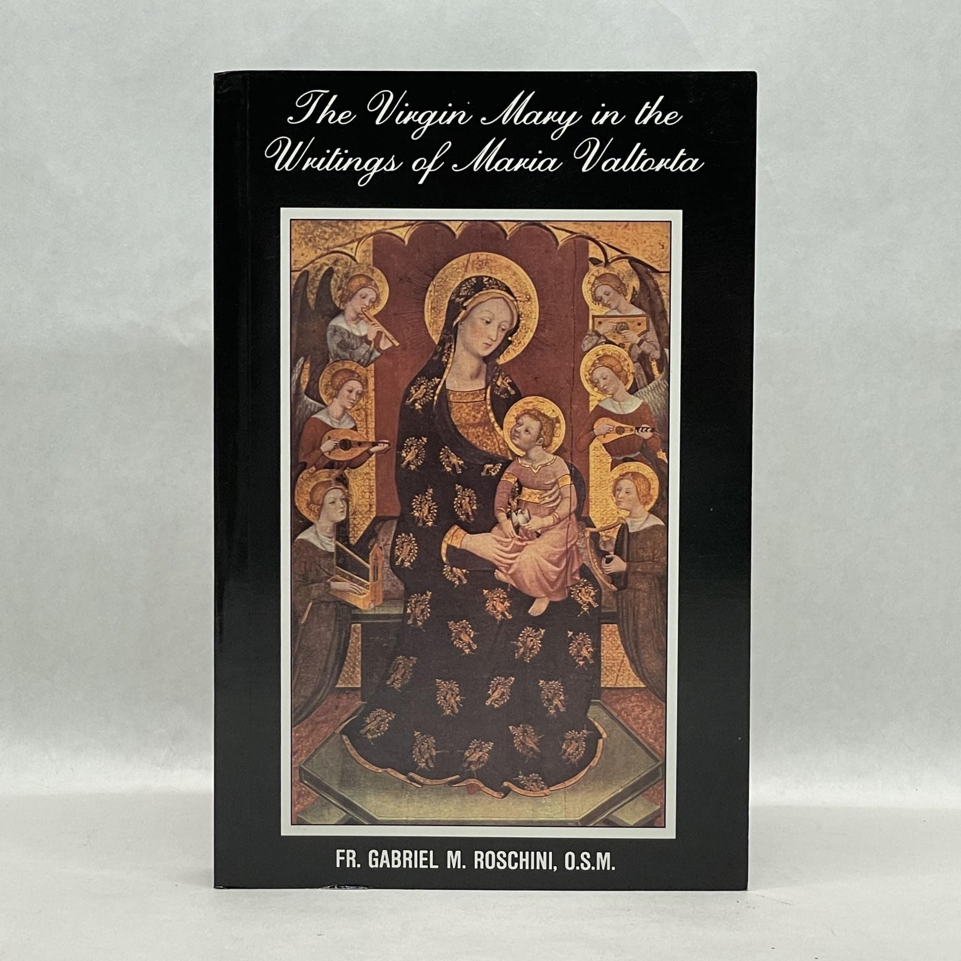 The Virgin Mary in the writings of Maria Valtorta used book depot