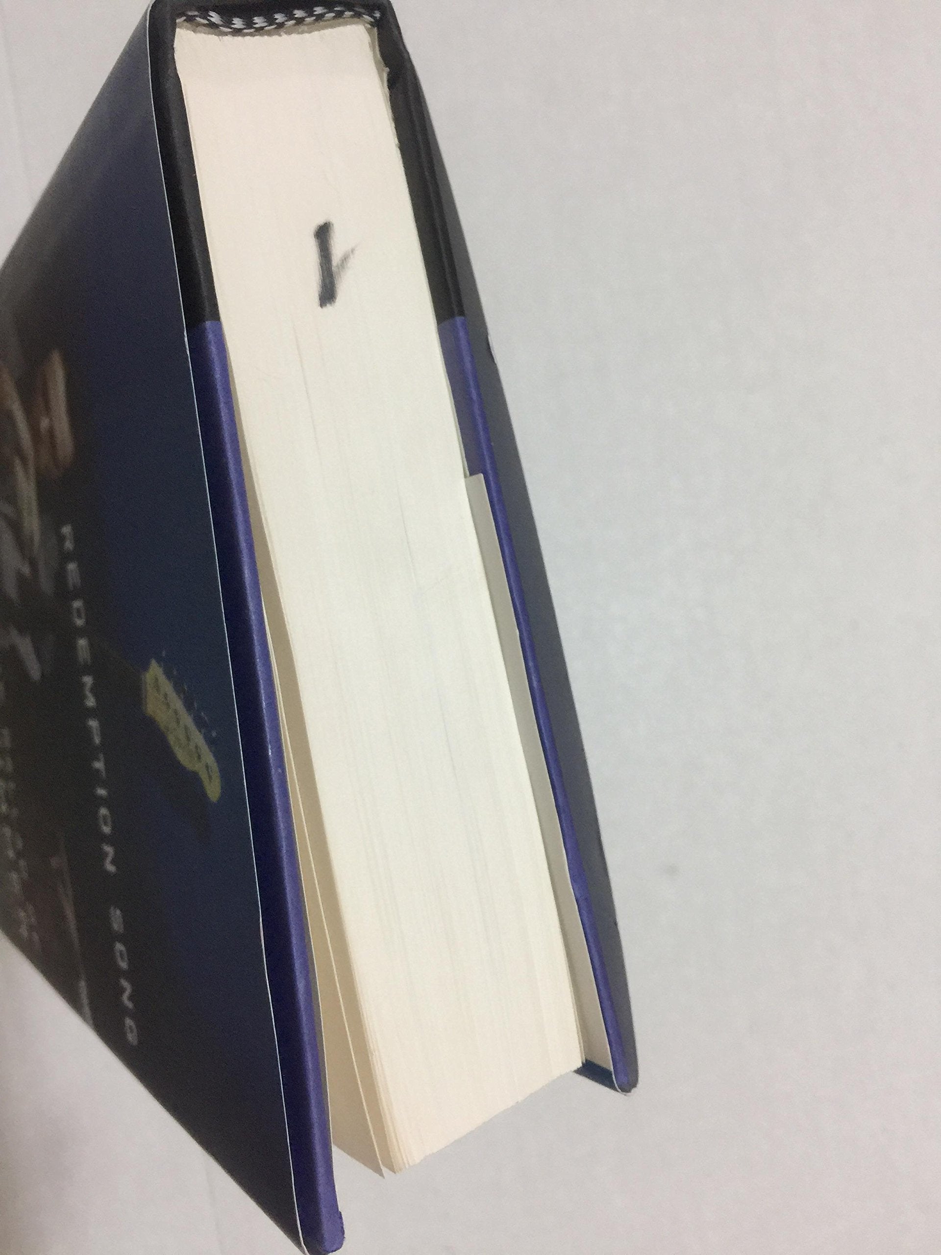 Redemption Song: The Ballad of Joe Strummer used book depot