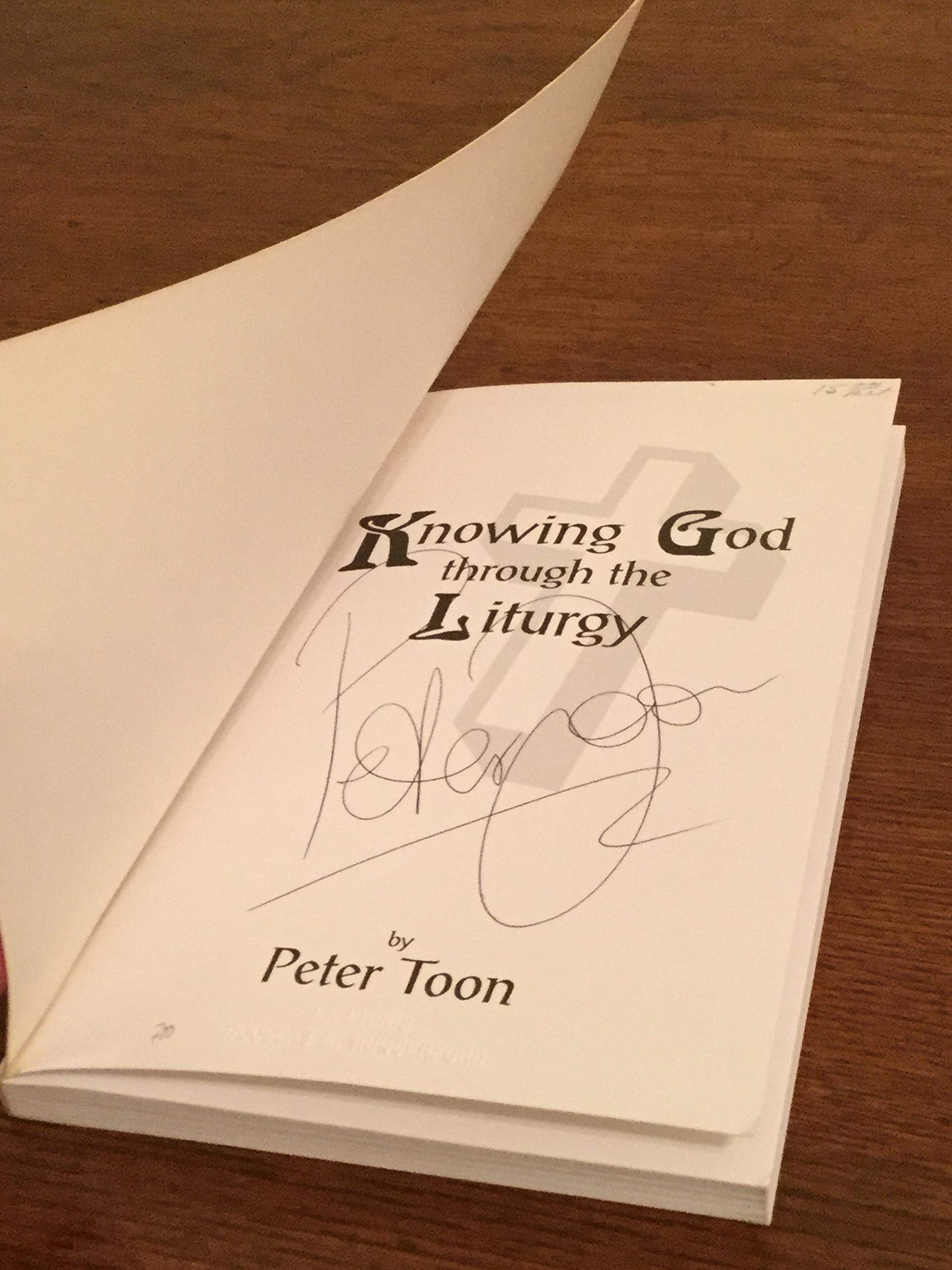 Knowing God through the Liturgy used book depot