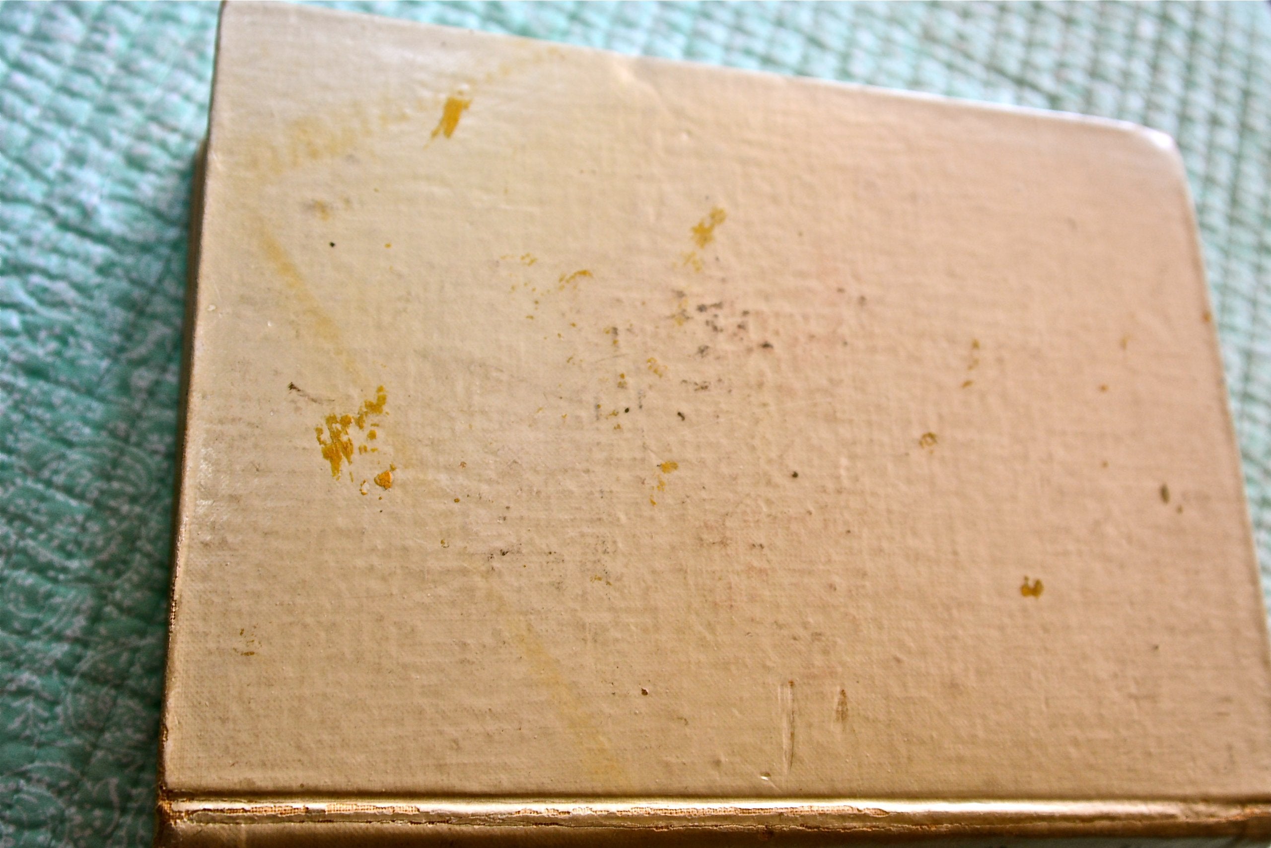 White House Cookbook 1899